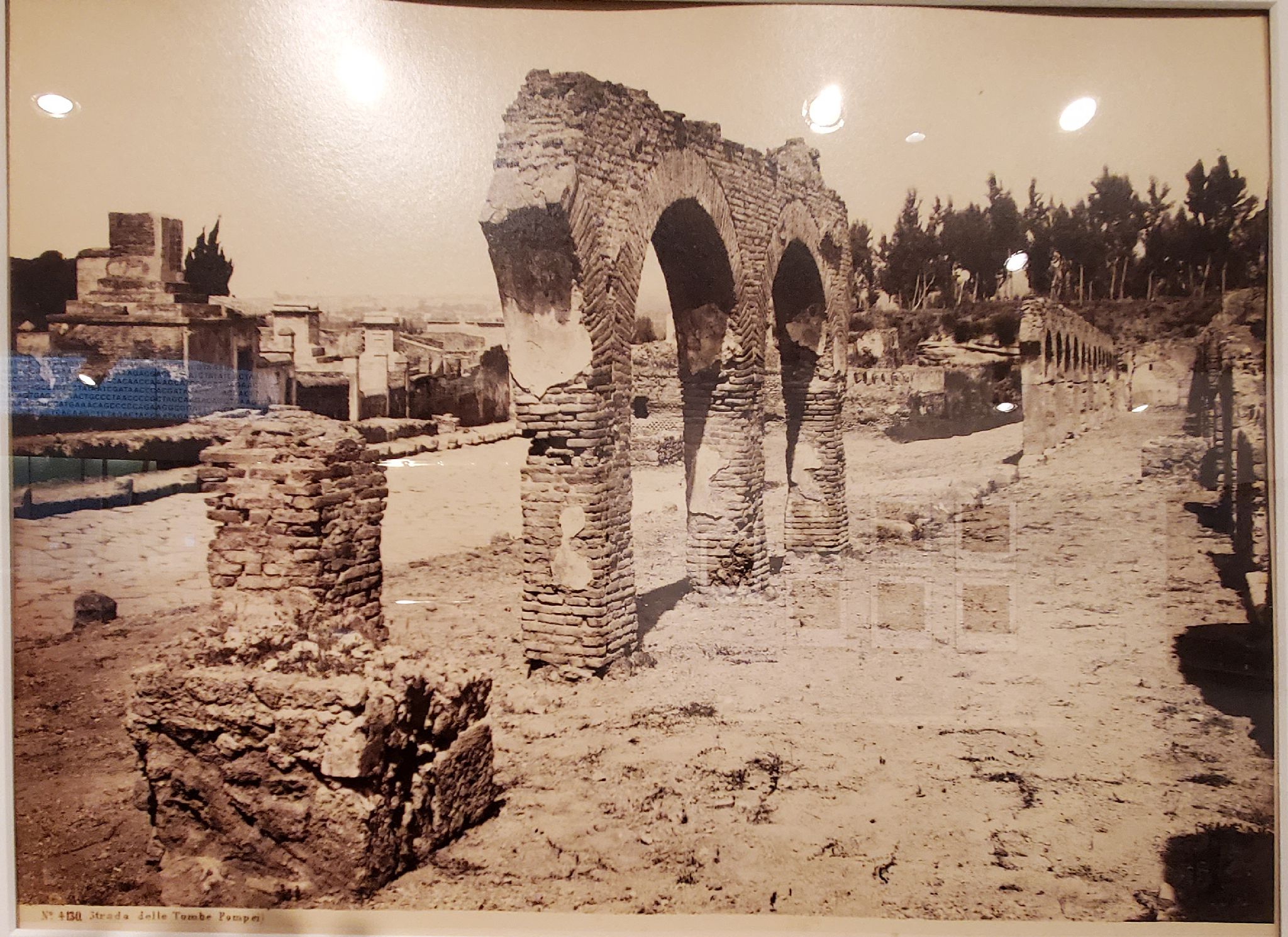 Strada delle Tombe (Street of Tombs) (before 79 CE), Pompeii, Italy