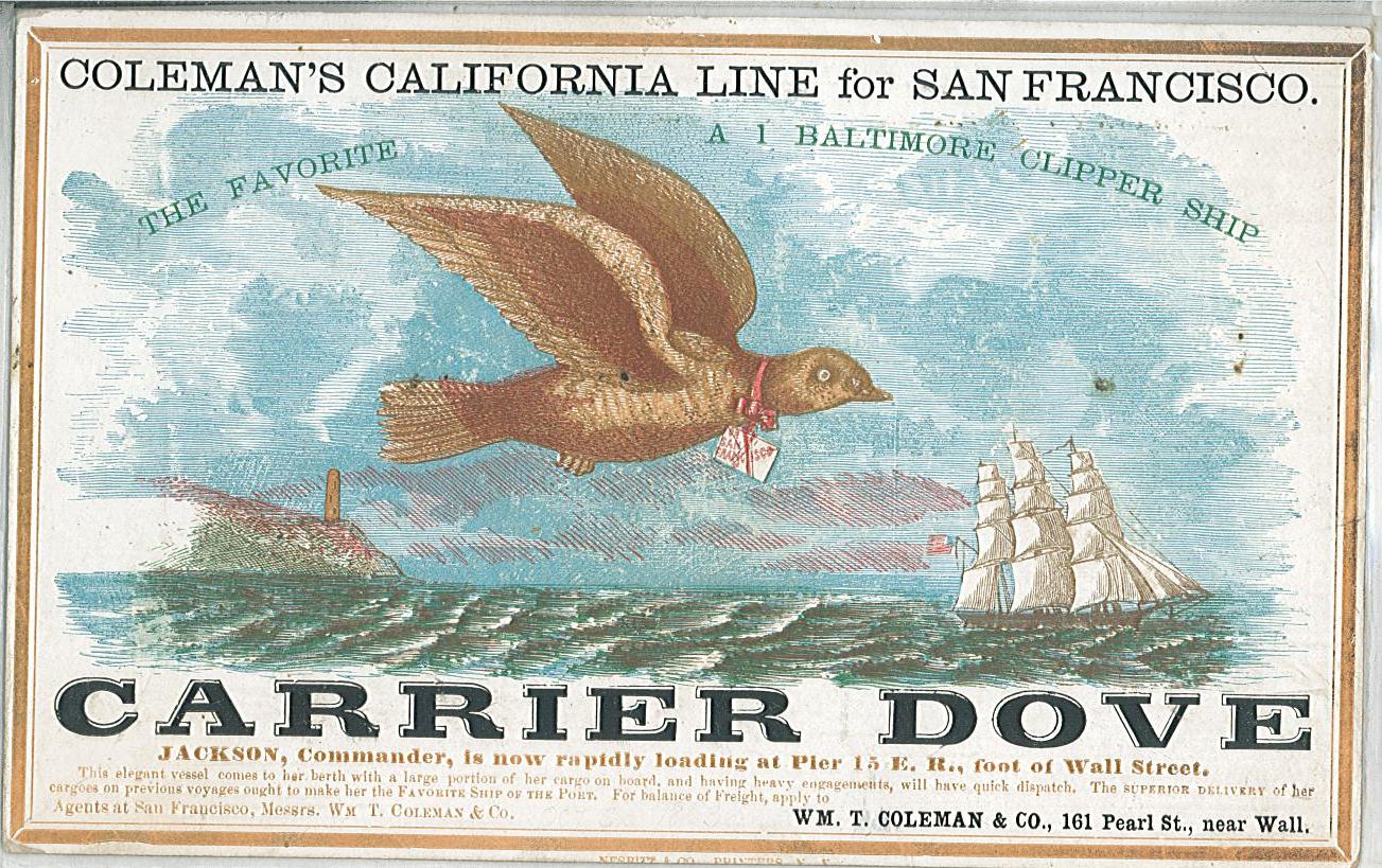 scan taken from server, front
