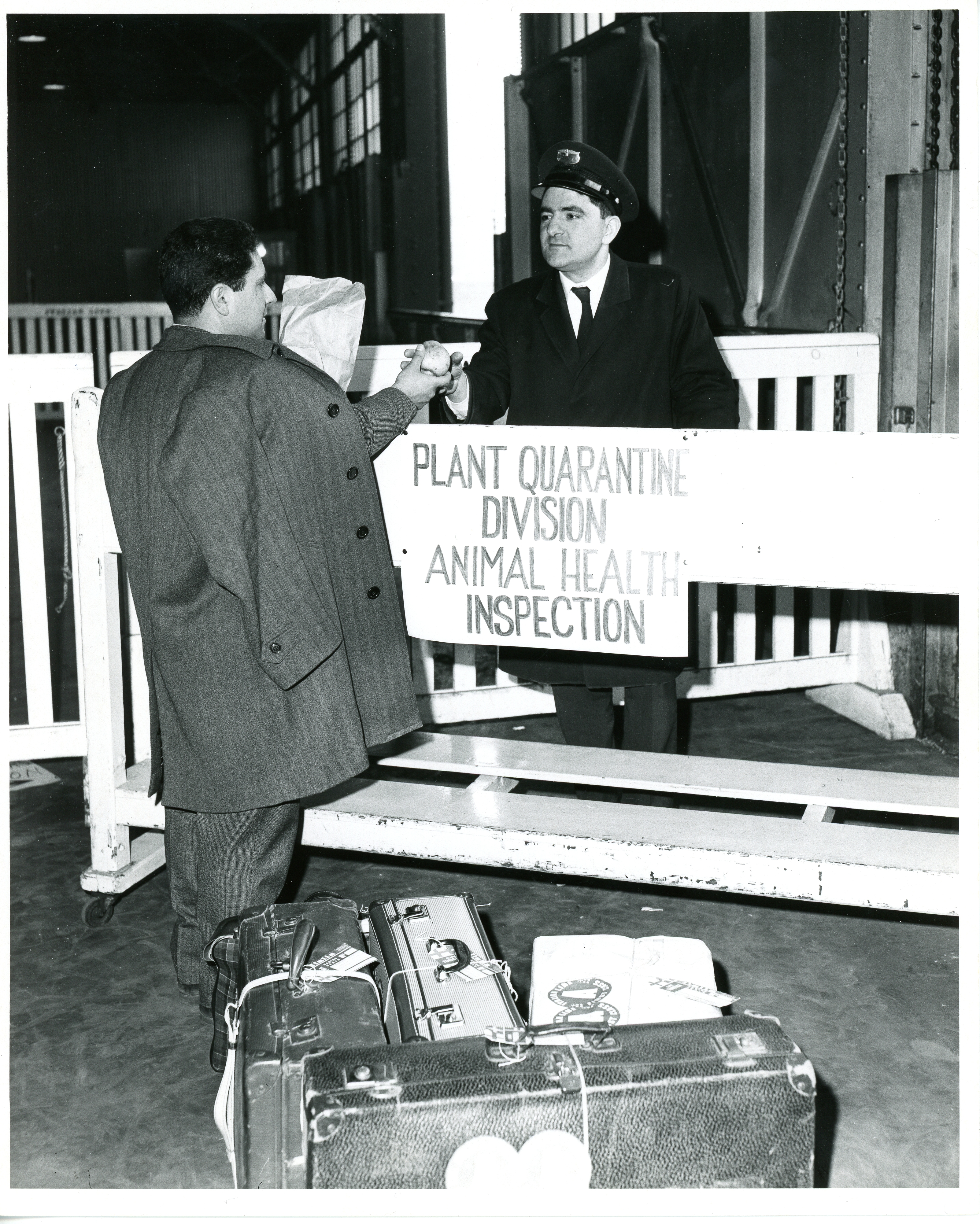 Image description is not available for 2005.USCH.0311