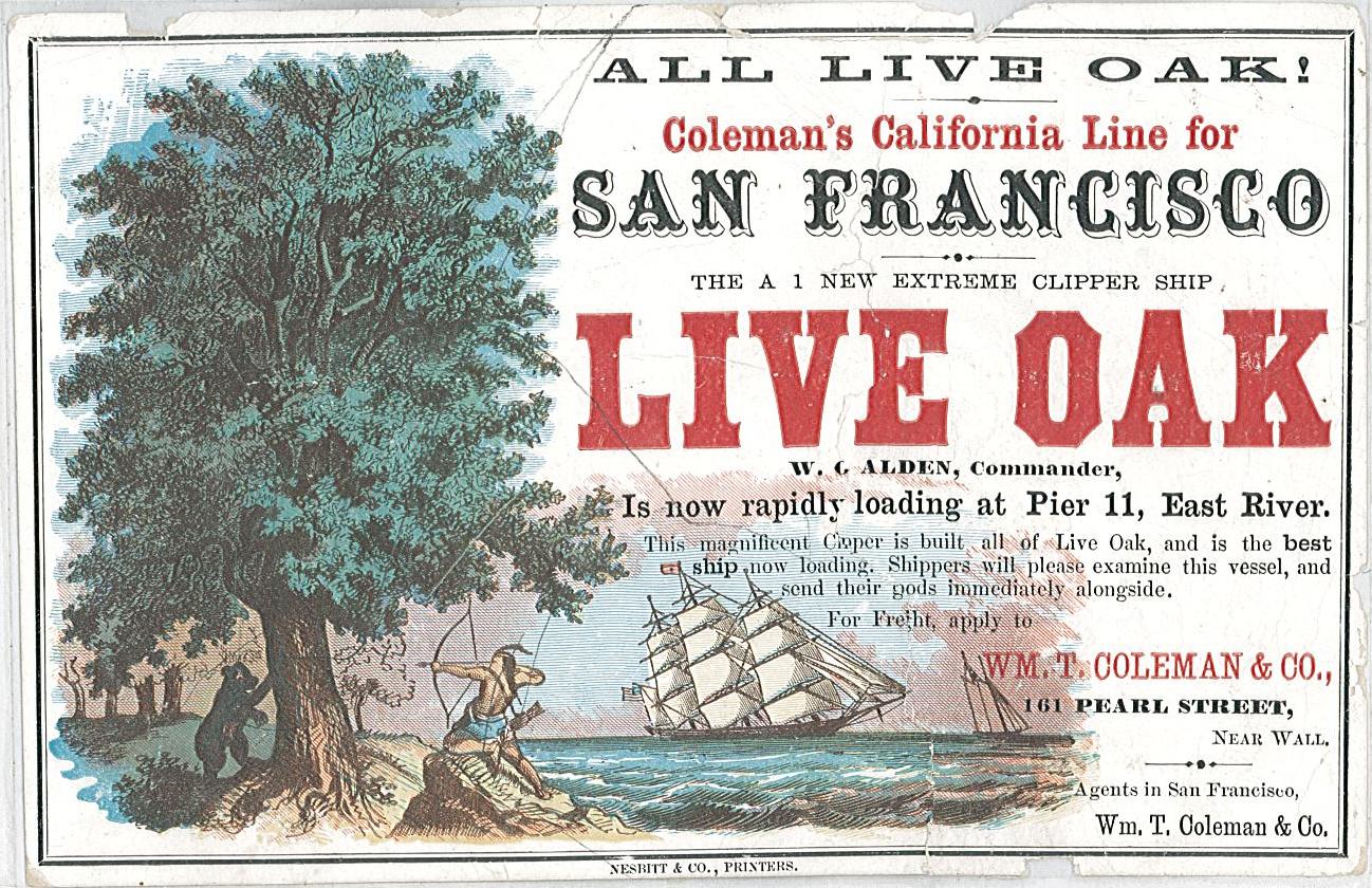 scan taken from server, front