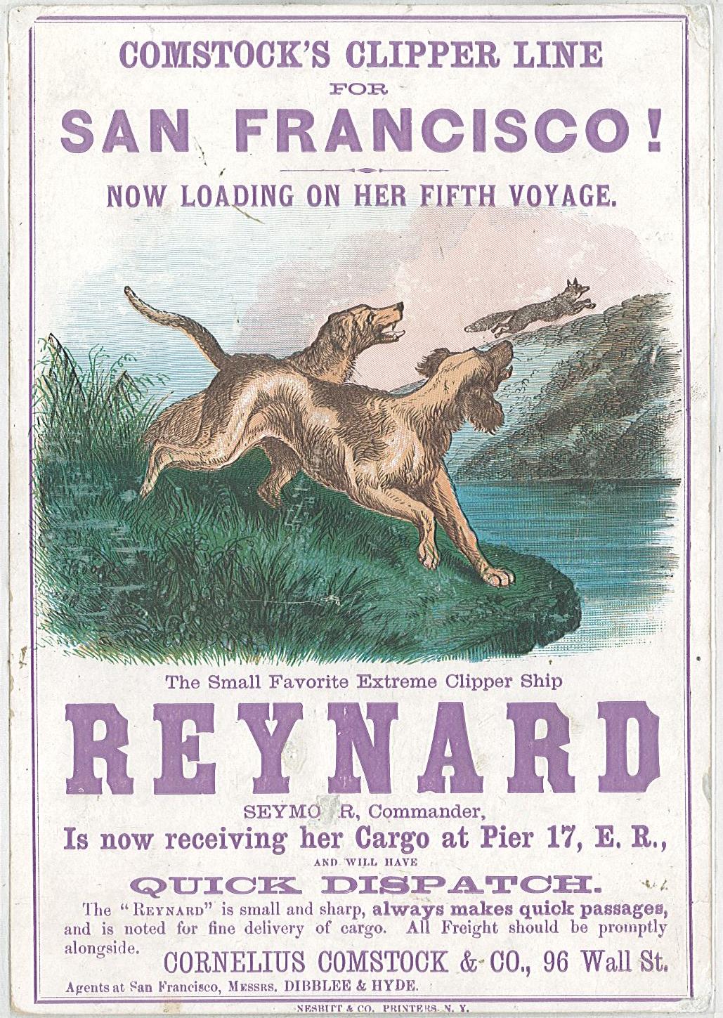 scan taken from server, front