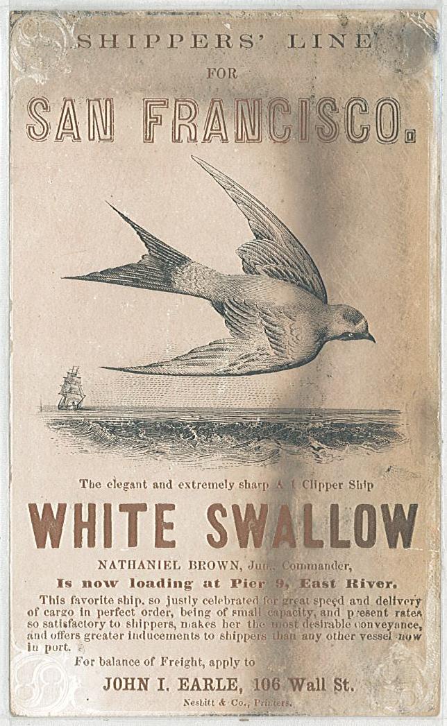 scan taken from server, front