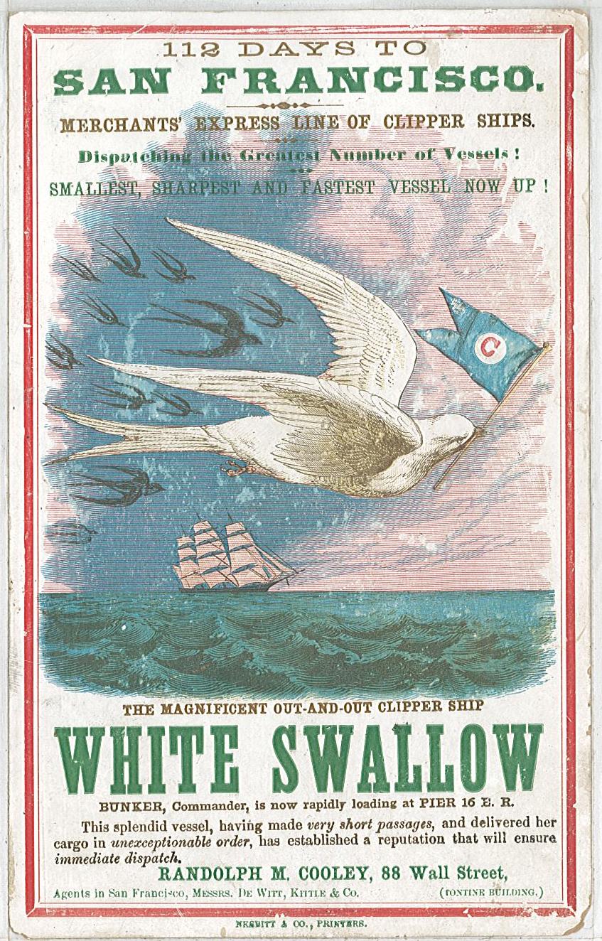 scan taken from server, front