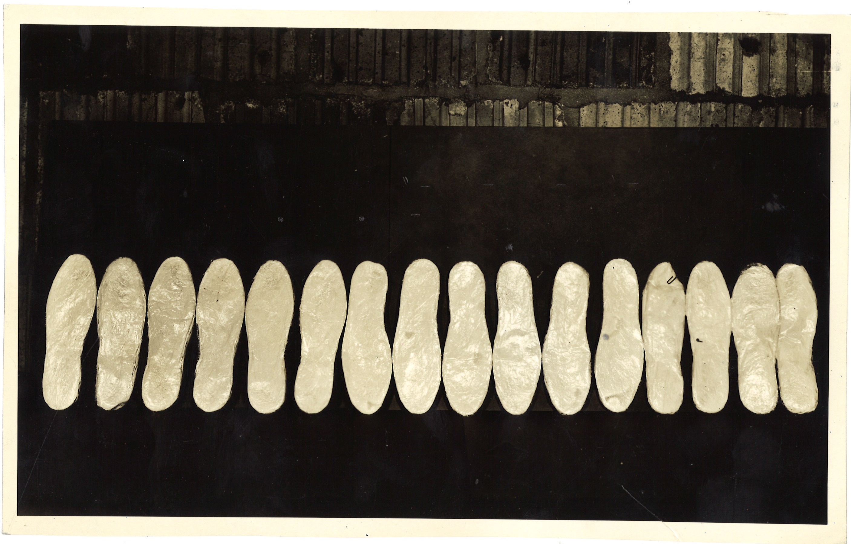 scanned for database, front