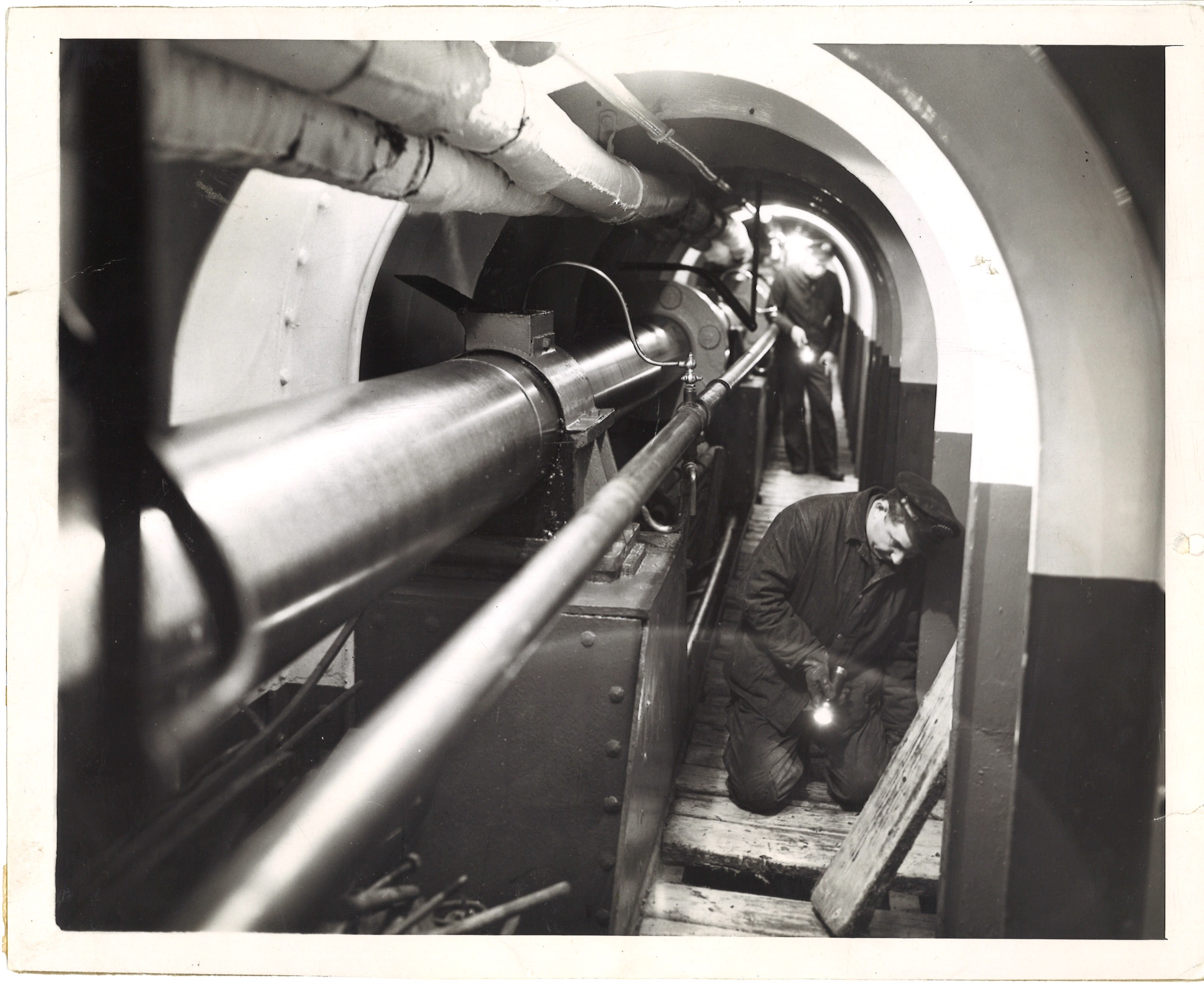 scanned for database, front