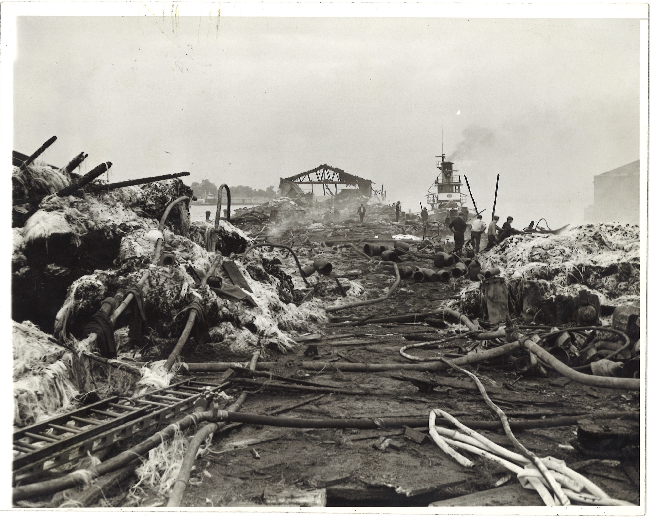 scanned for database, front
