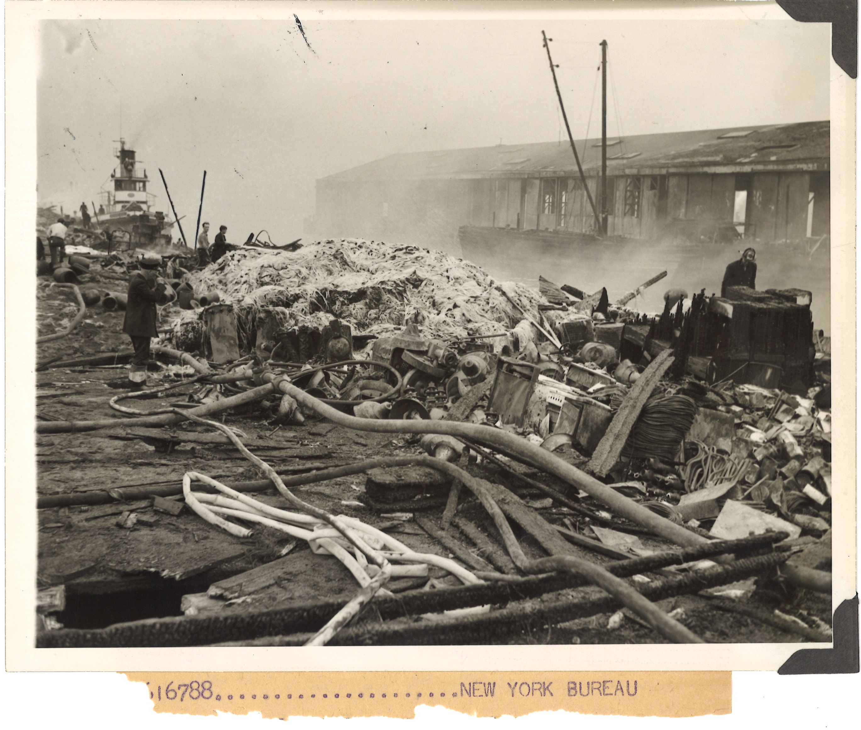 scanned for database, front