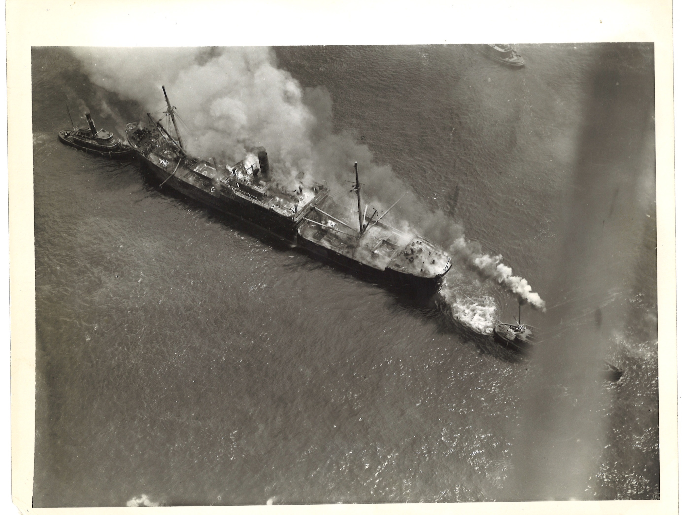 scanned for database, front