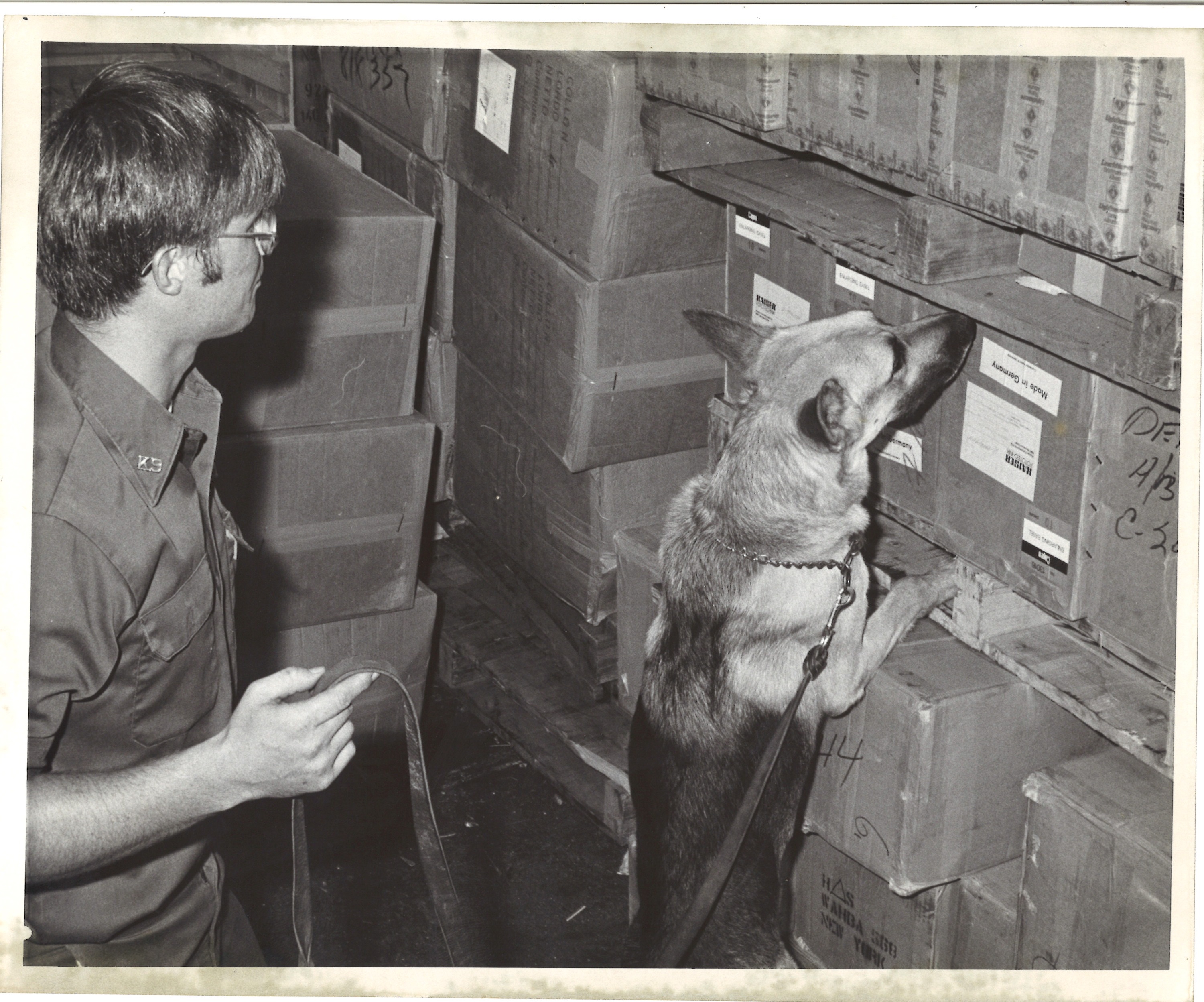 scanned for database, front