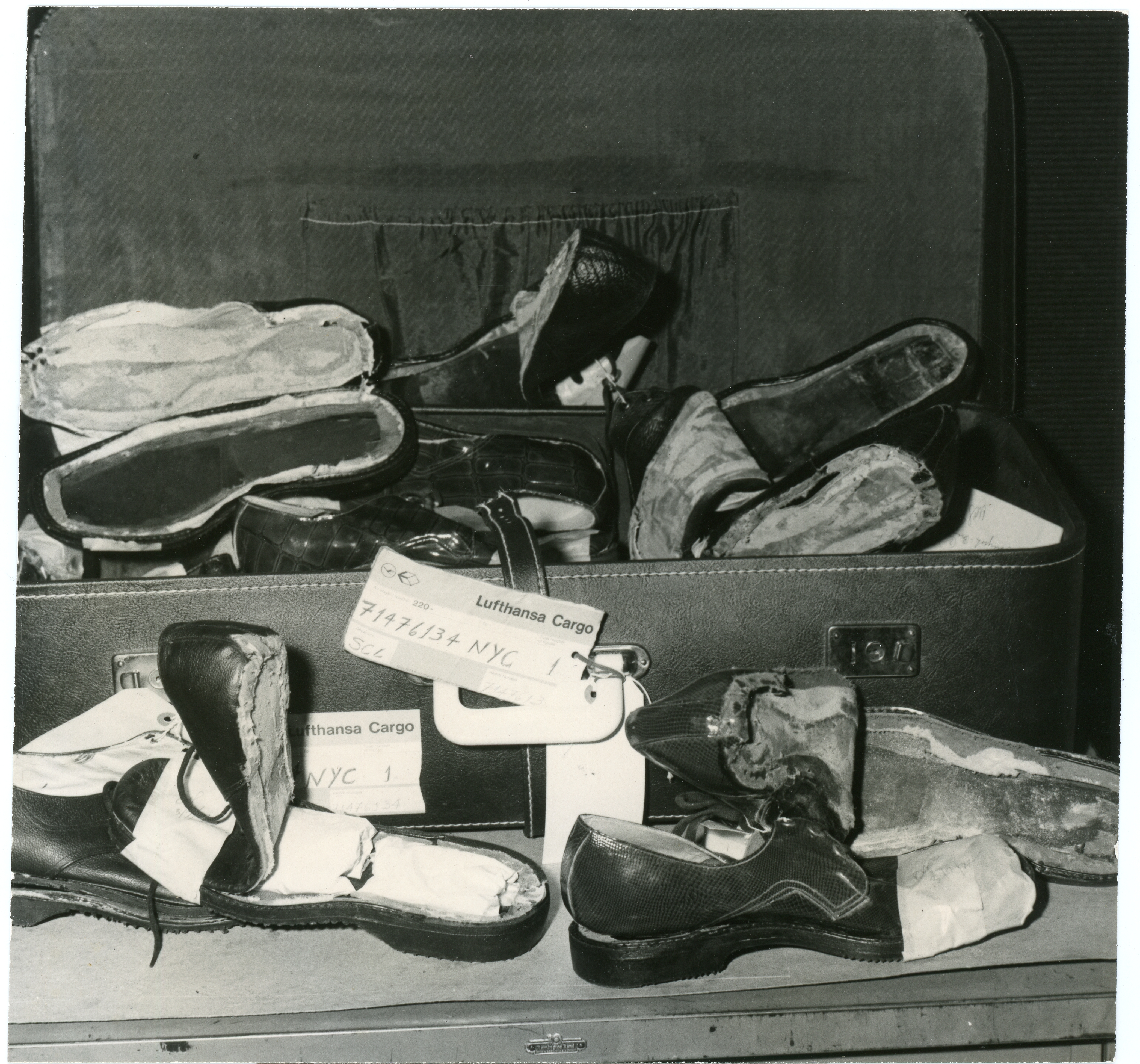 scanned for database, front