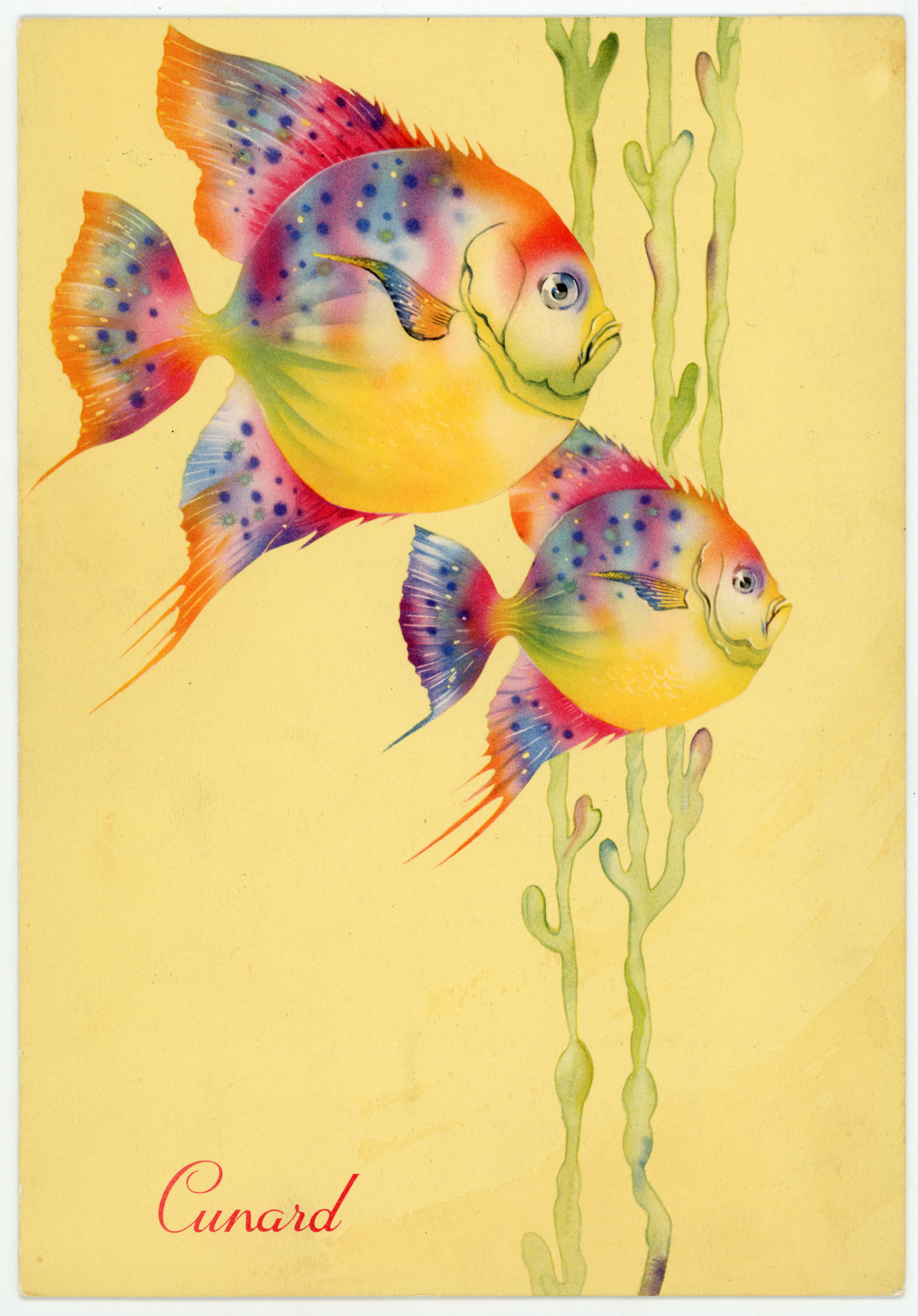 2019/02/22 scanned in collections office for the database, front cover.