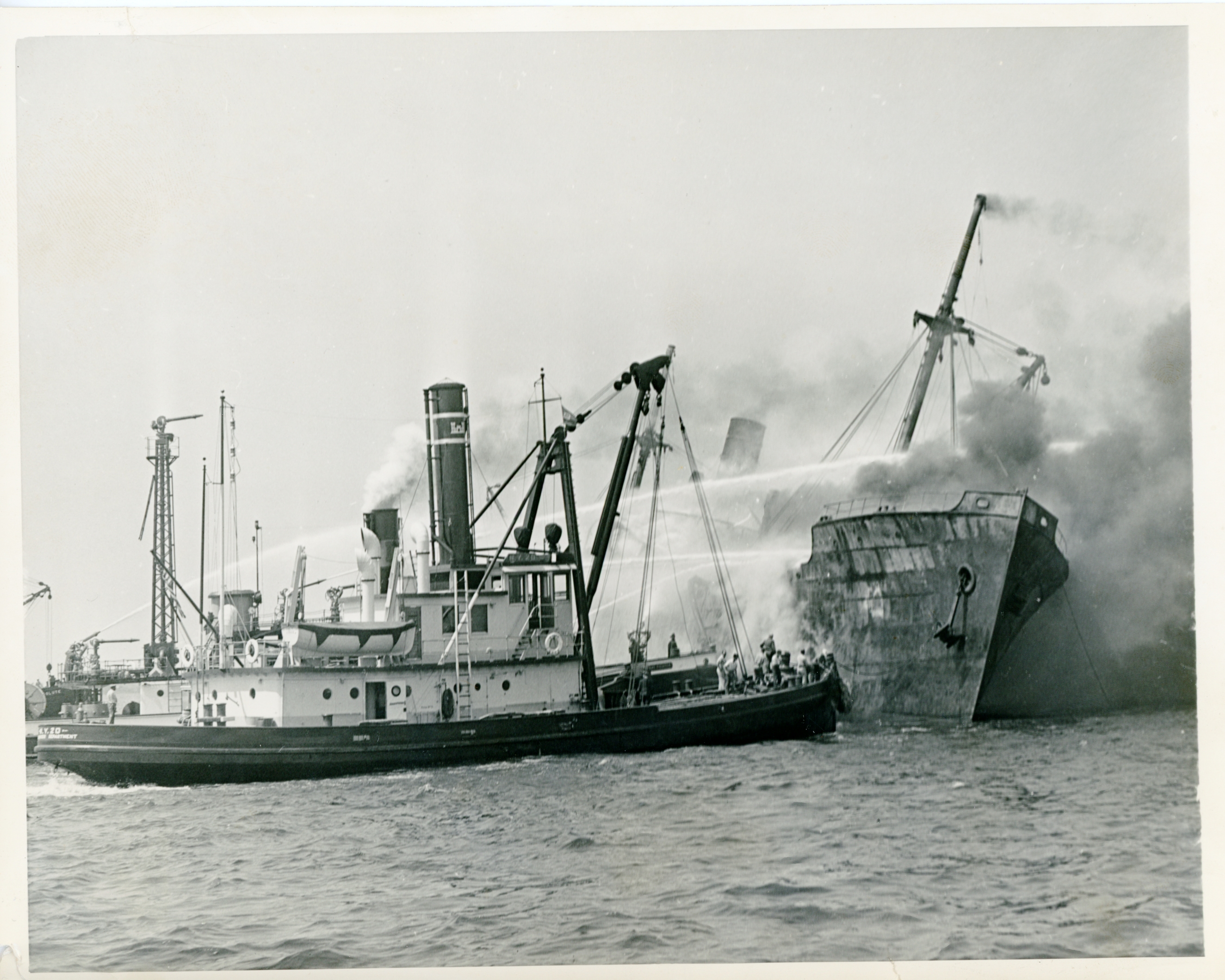 scanned for database, front