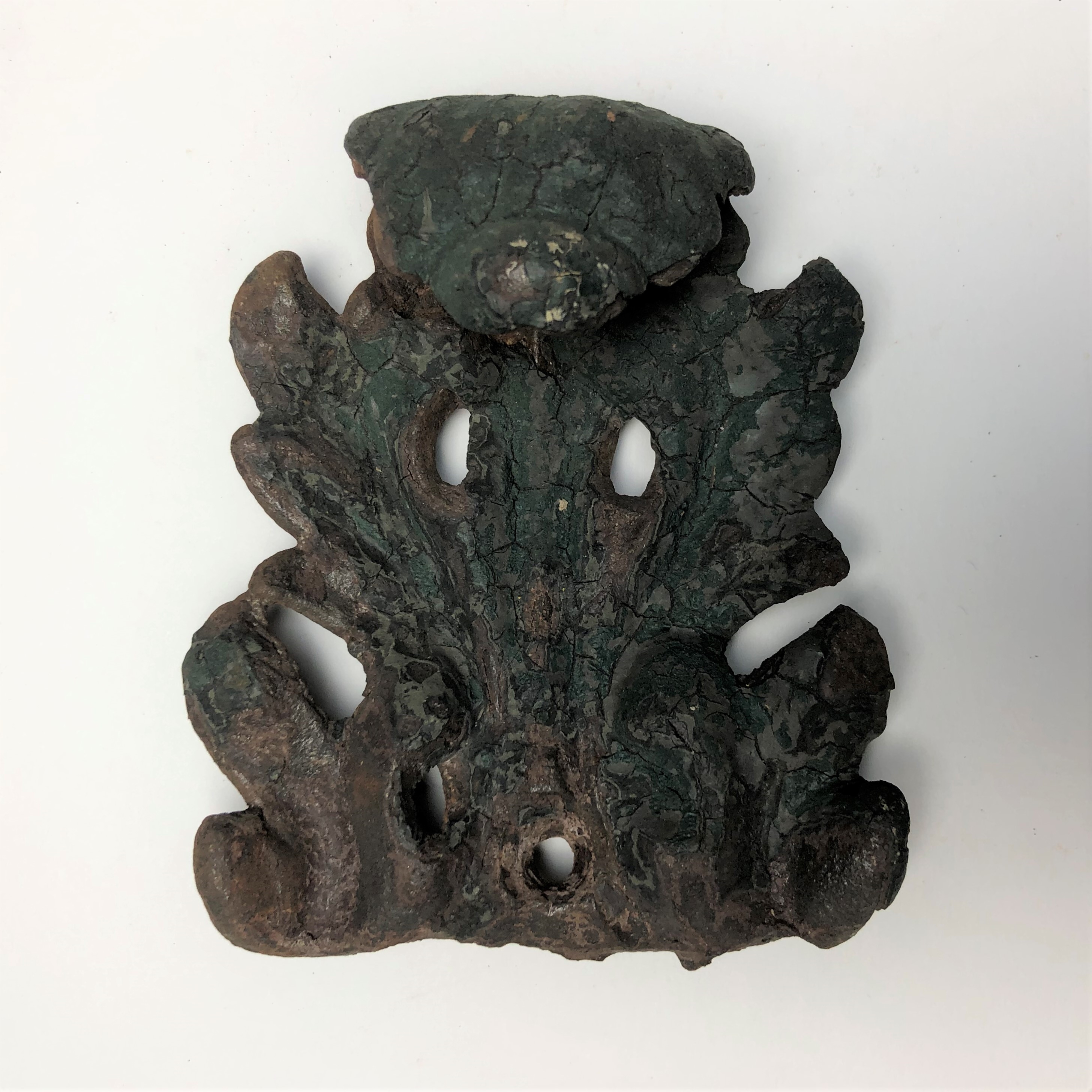 2020/03/04 image taken in Gallery 9, during inventory, for database