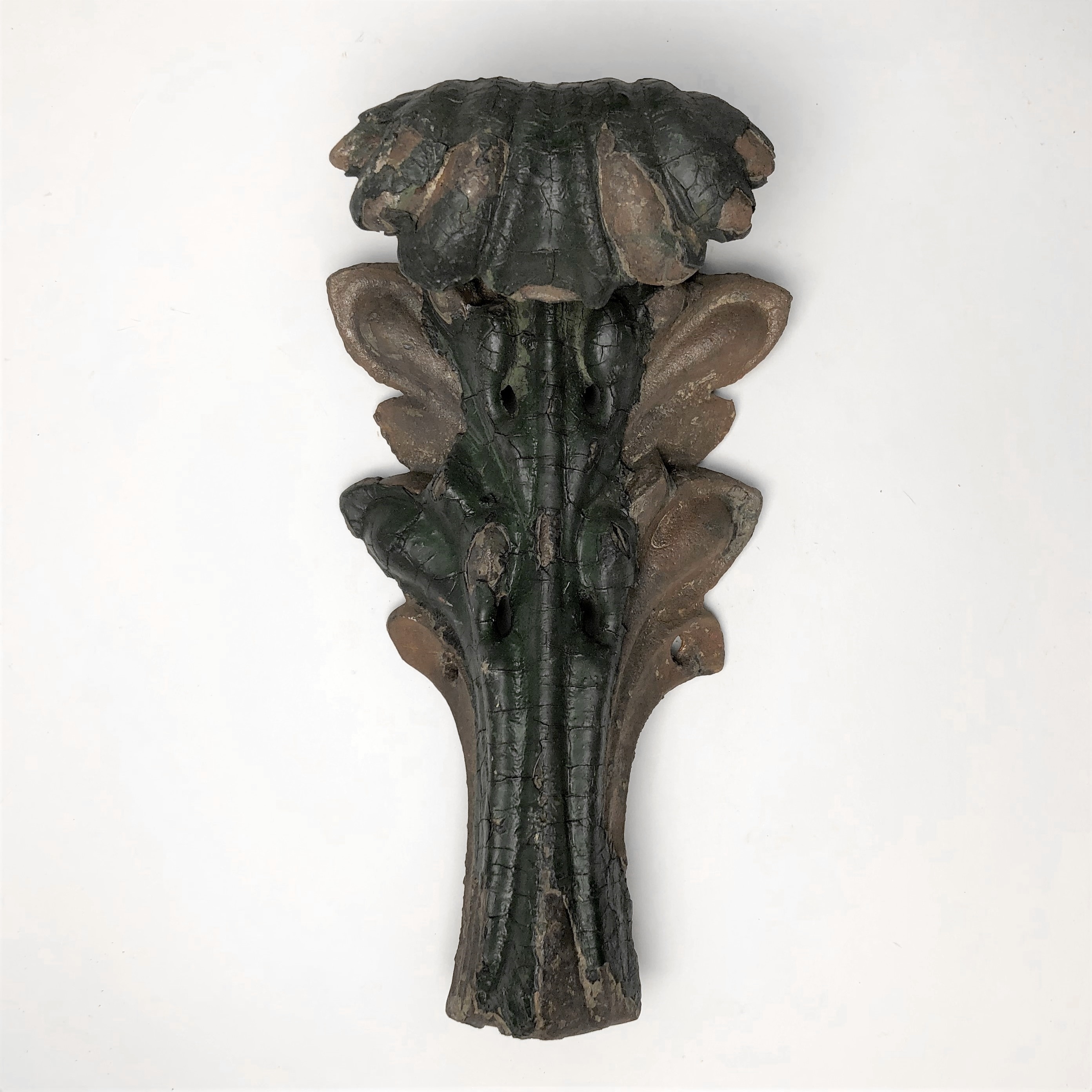 2020/03/04 image taken in Gallery 9, during inventory, for database