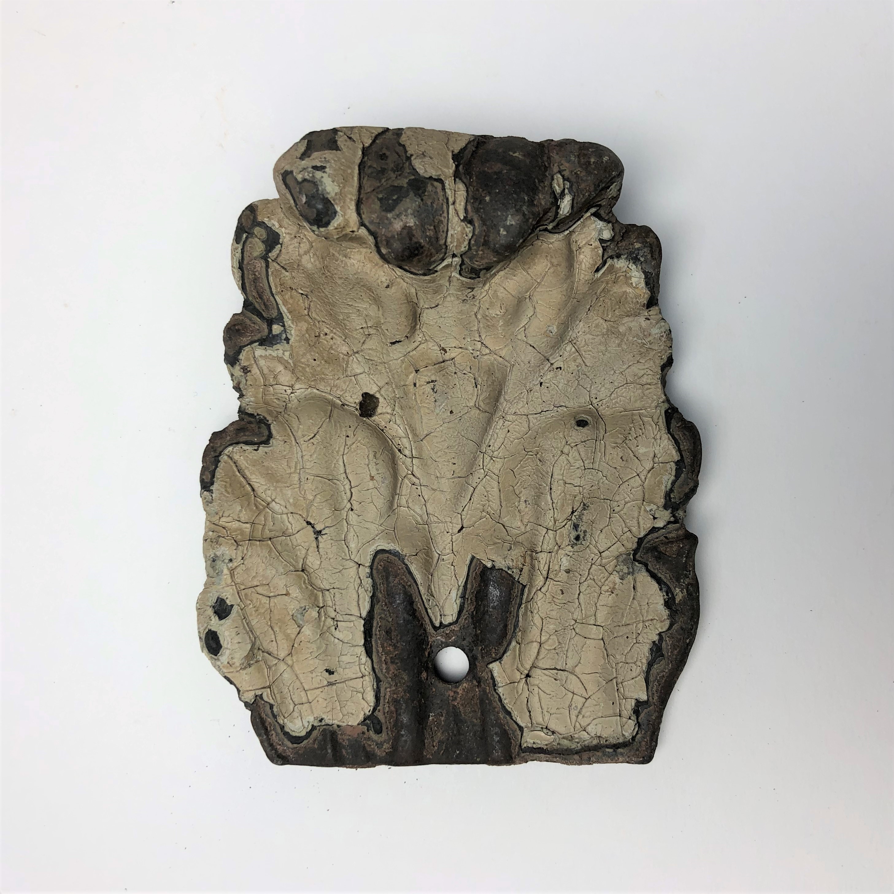 2020/03/04 image taken in Gallery 9, during inventory, for database