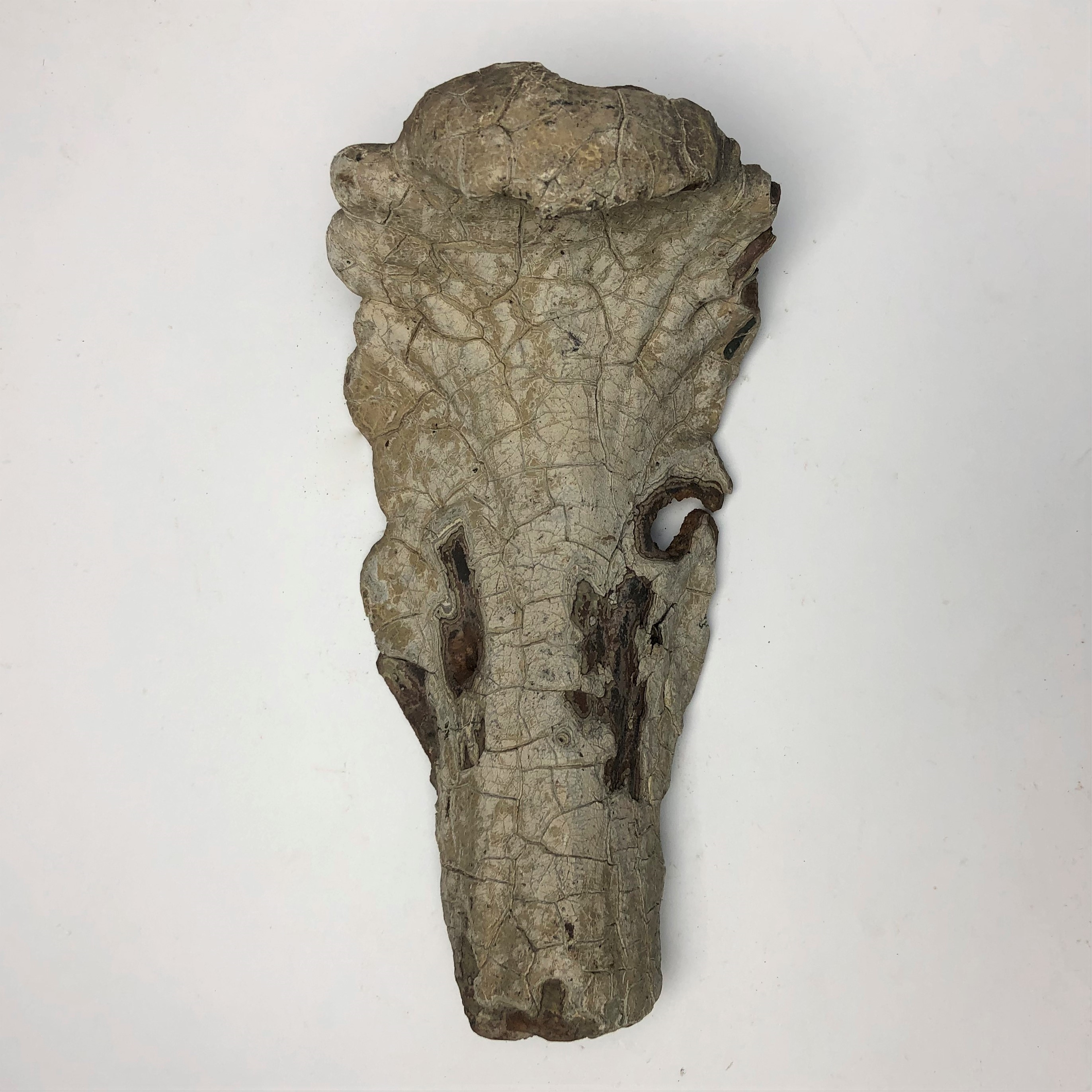 2020/03/04 image taken in Gallery 9, during inventory, for database
