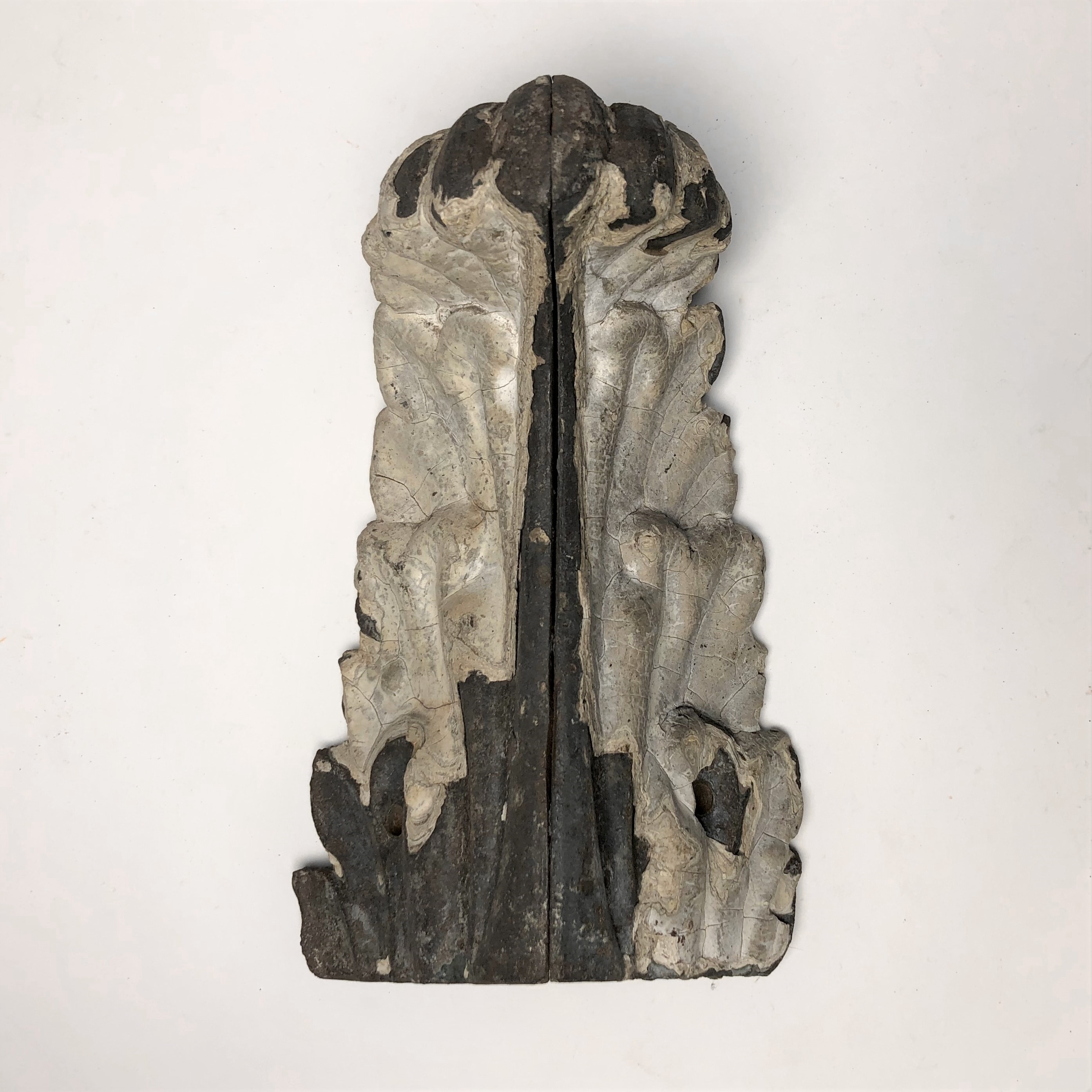 2020/03/04 image taken in Gallery 9, during inventory, for database
