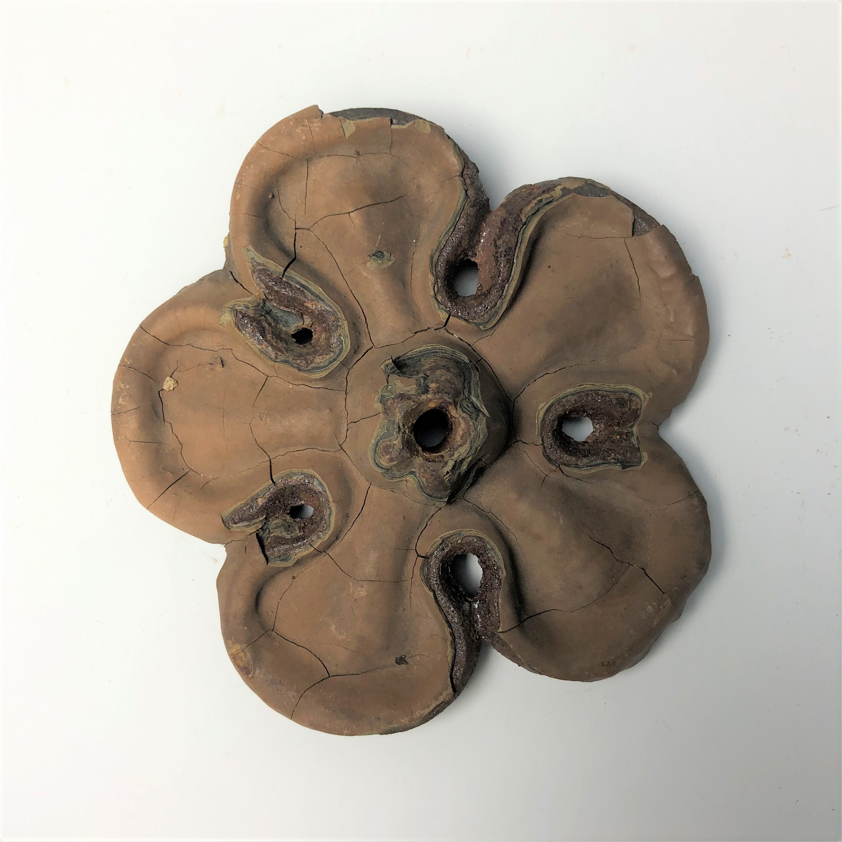 2020/03/04 image taken in Gallery 9, during inventory, for database
