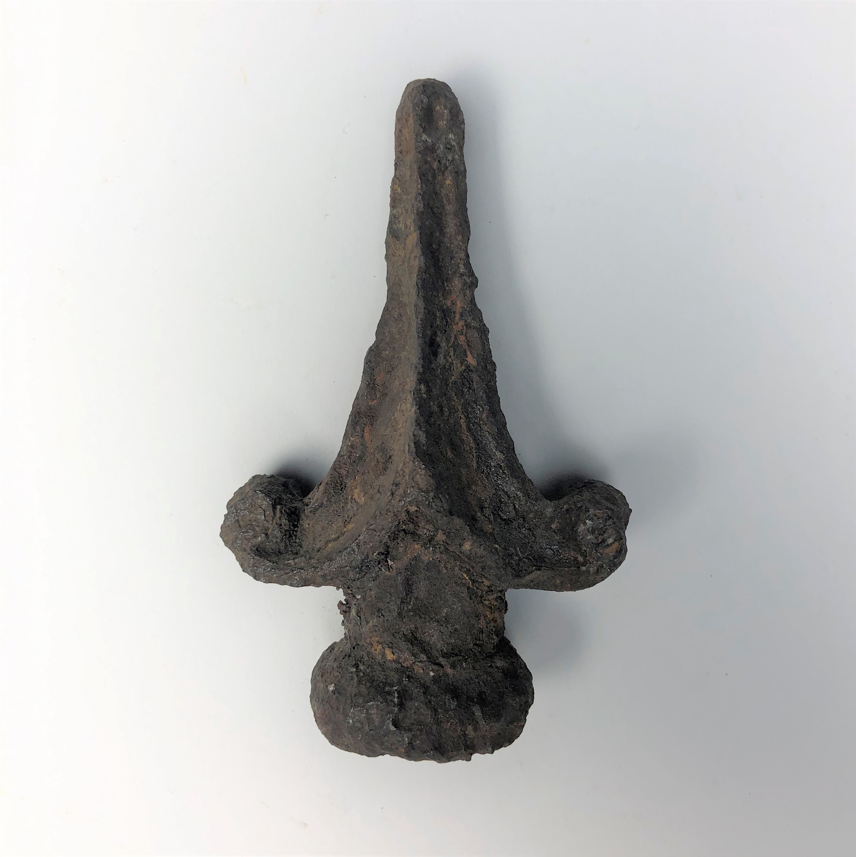 2020/03/04 image taken in Gallery 9, during inventory, for database