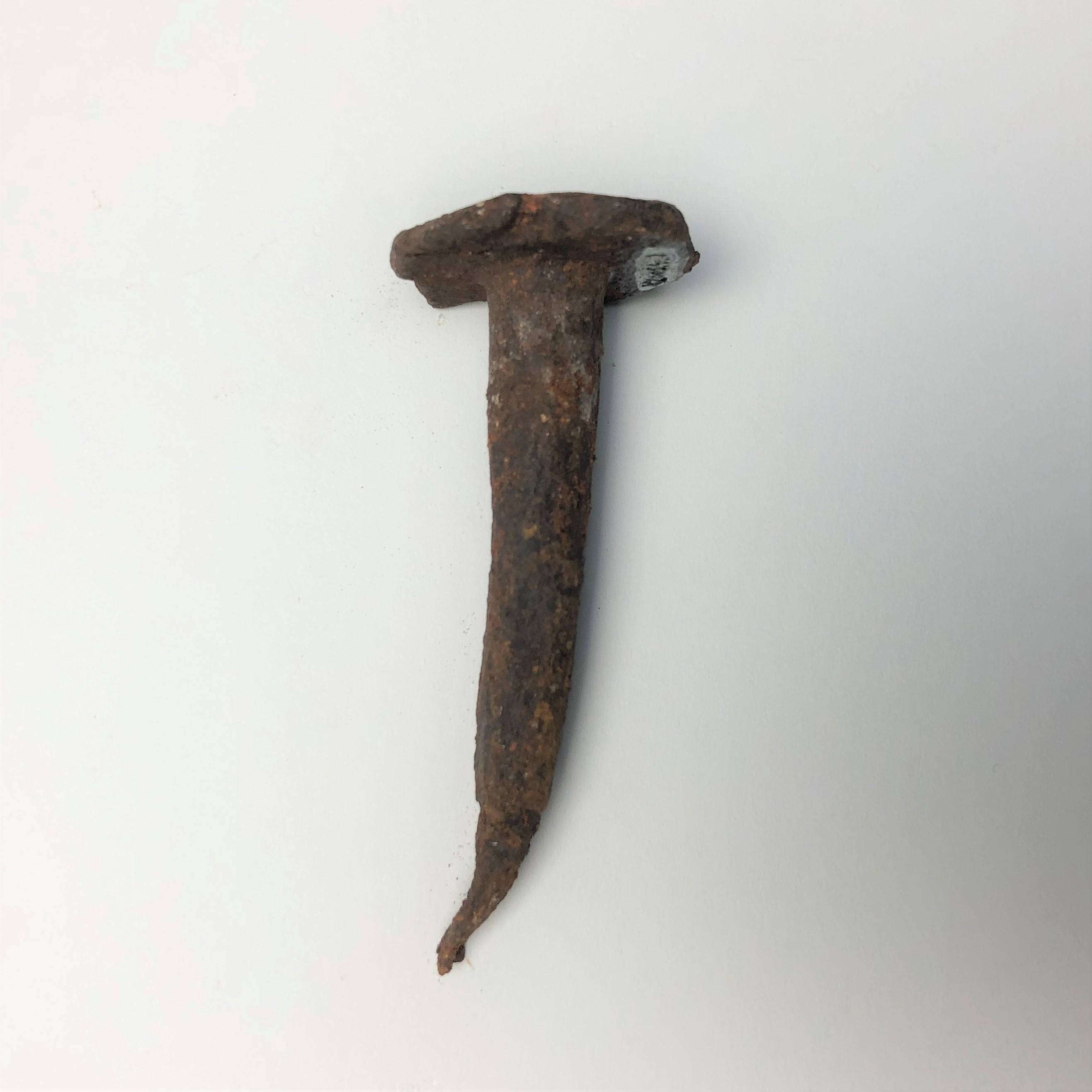 2020/03/04 image taken in Gallery 9, during inventory, for database