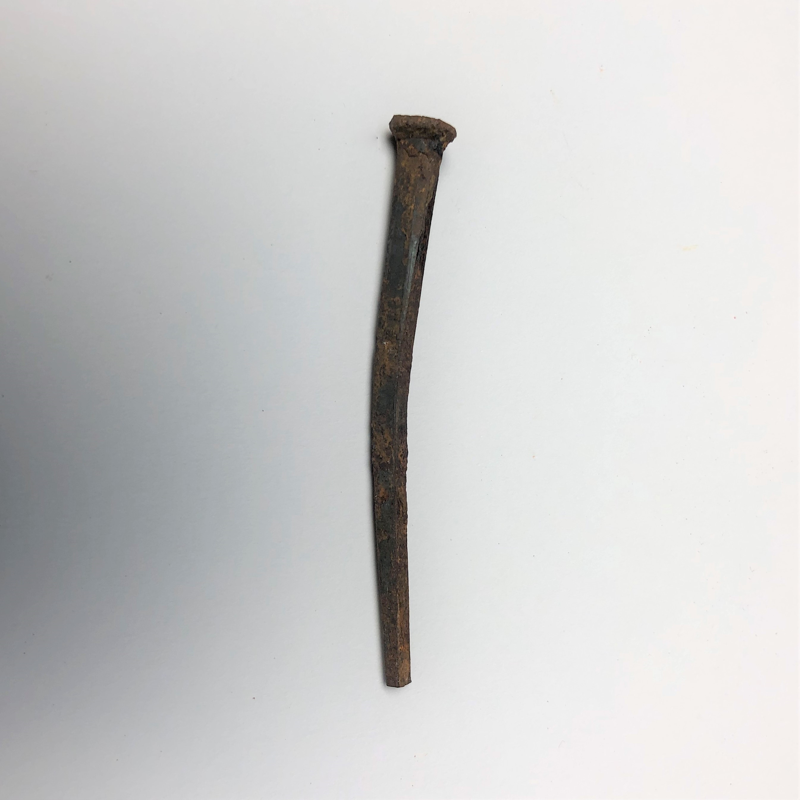 2020/03/04 image taken in Gallery 9, during inventory, for database