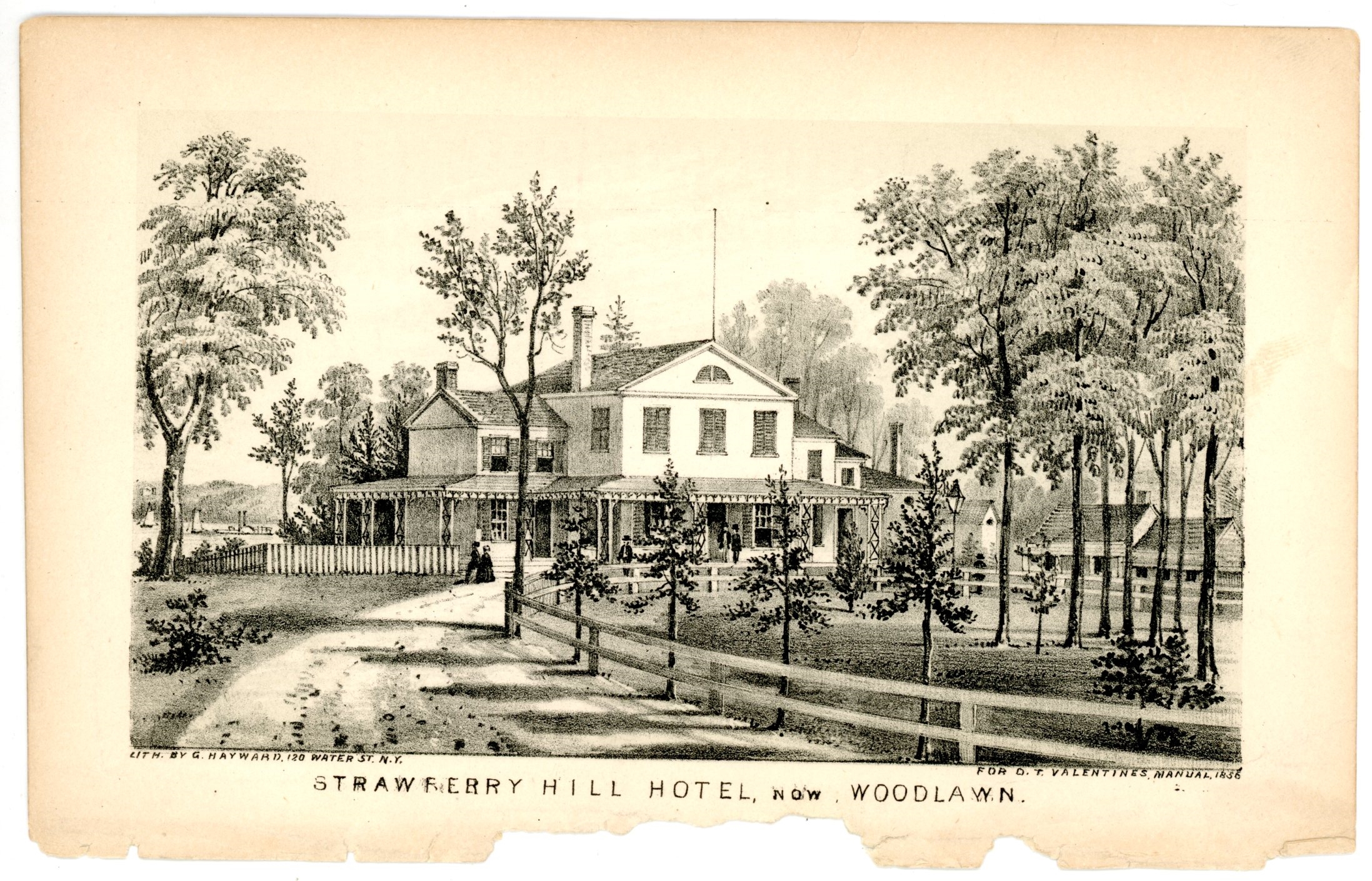 2020/06/04, scanned in office for database