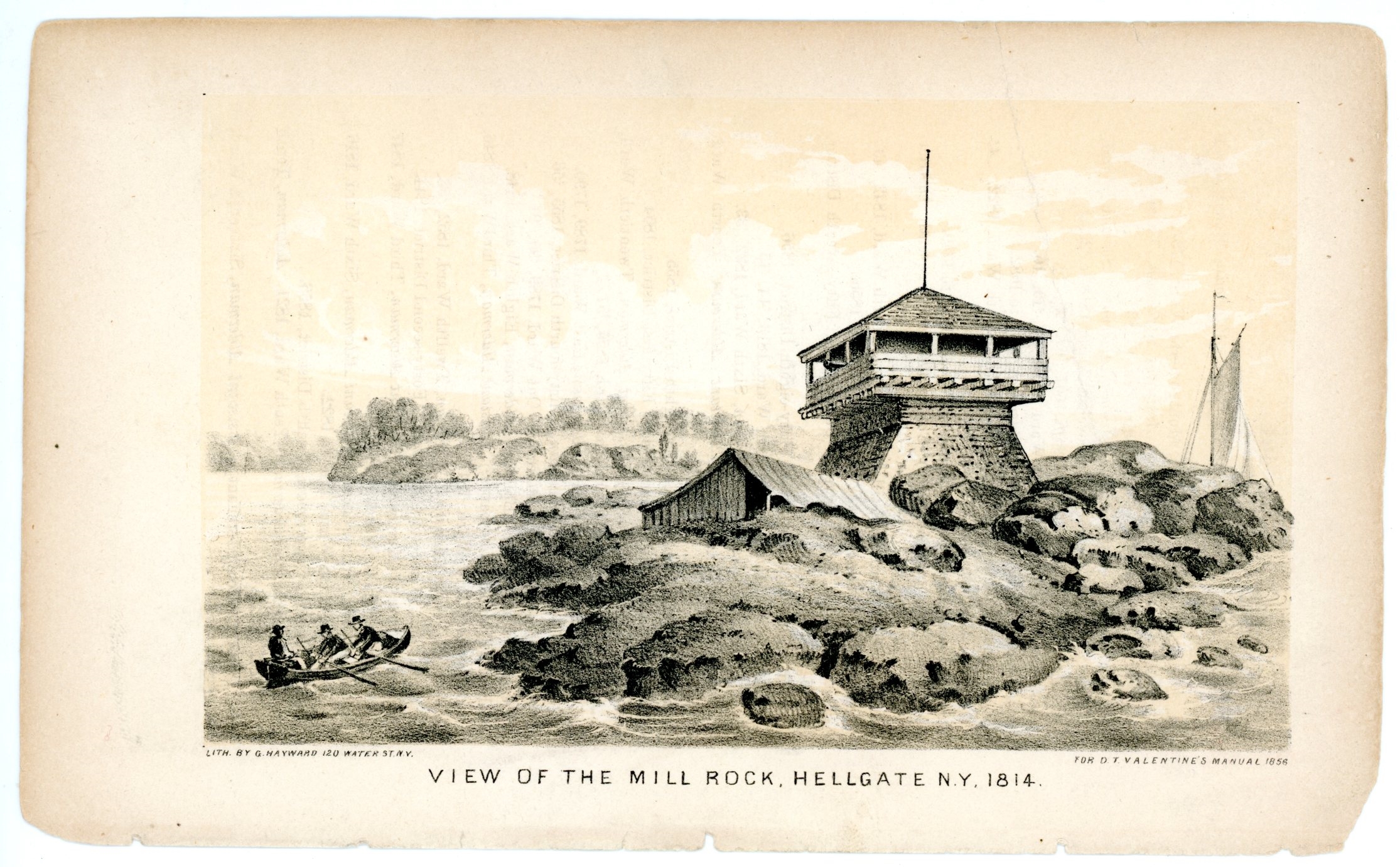 2020/06/04, scanned in office for database