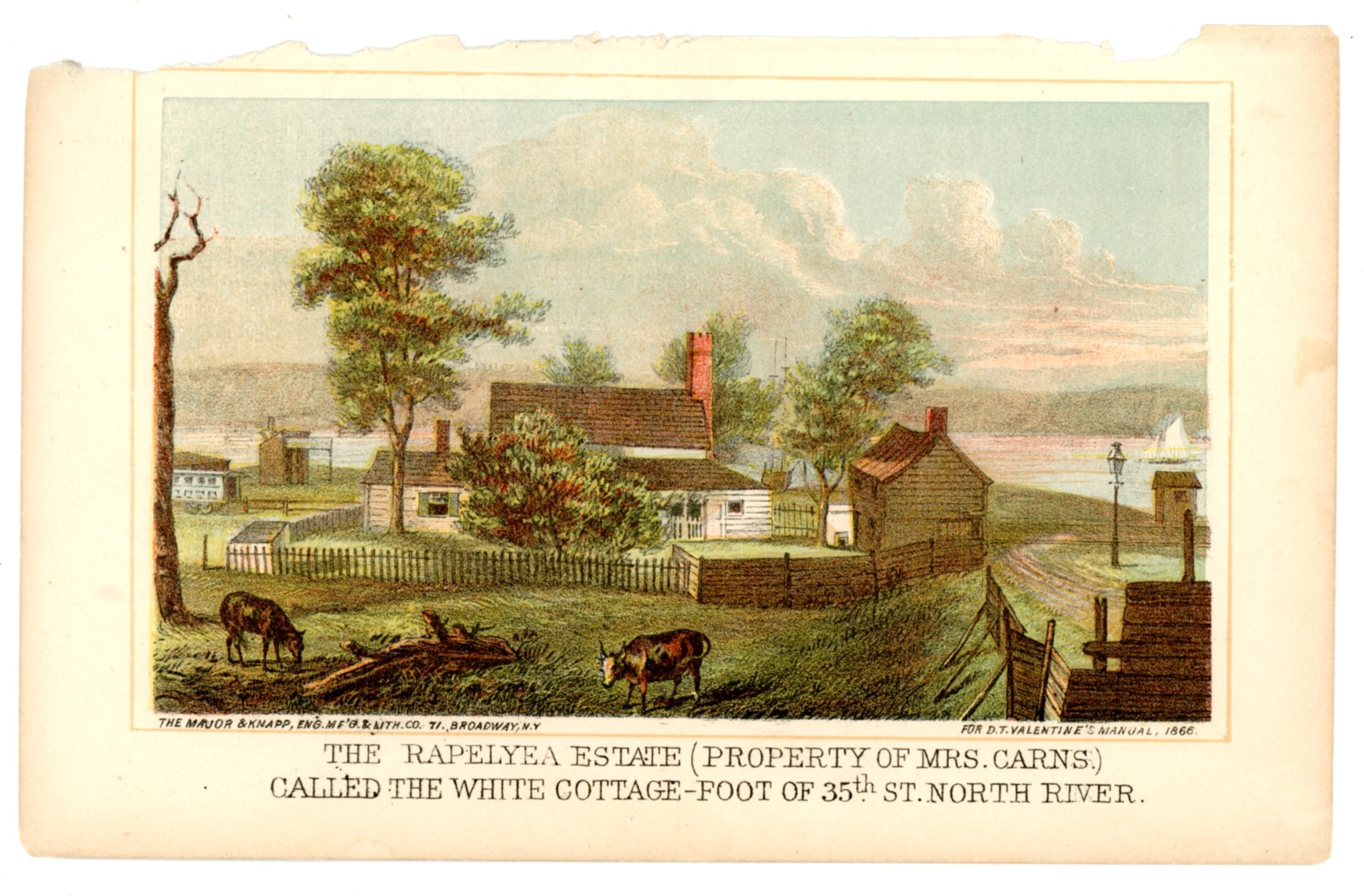 2020/06/09, scanned in office for database