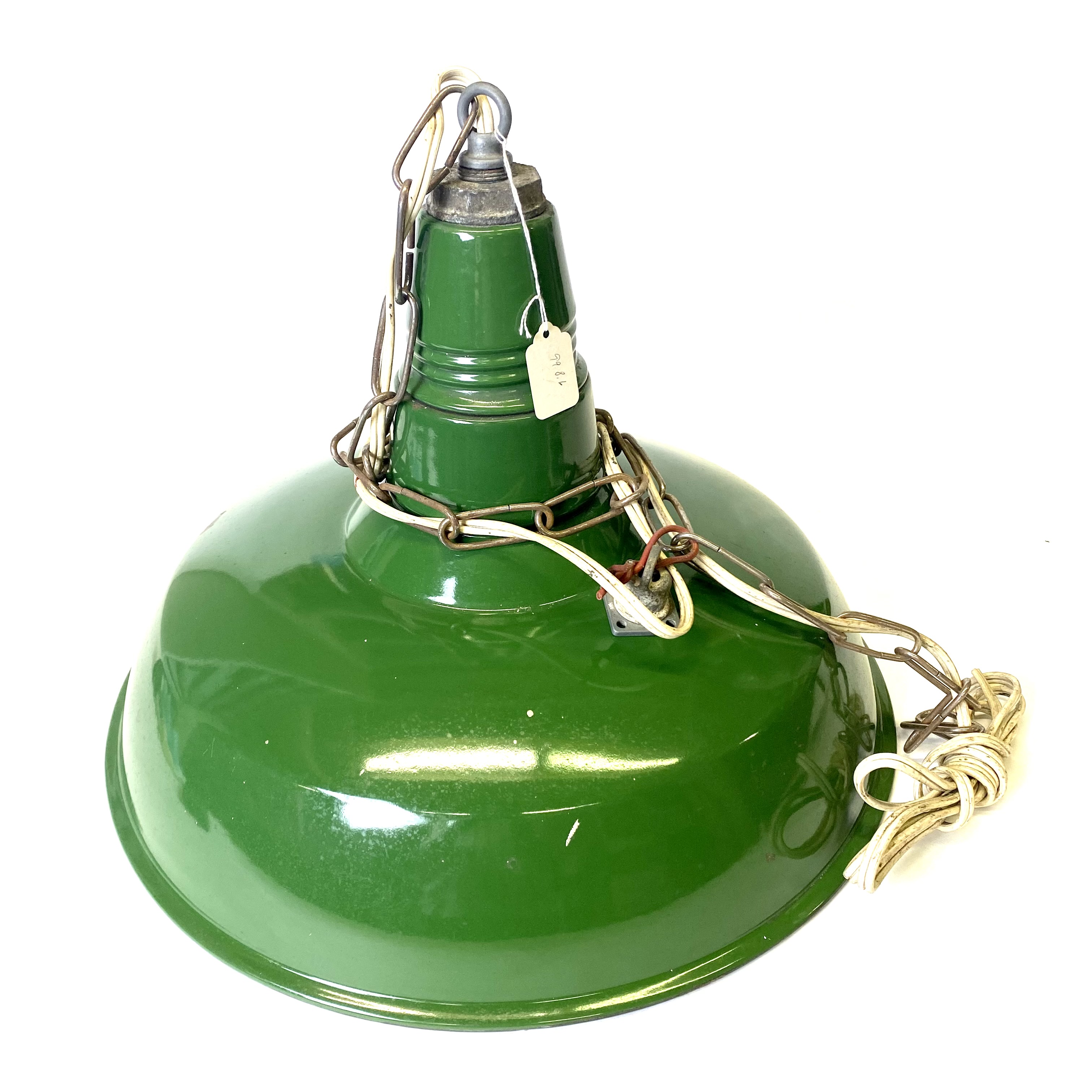 2021/09/10 image taken in collection storage for database and online portal