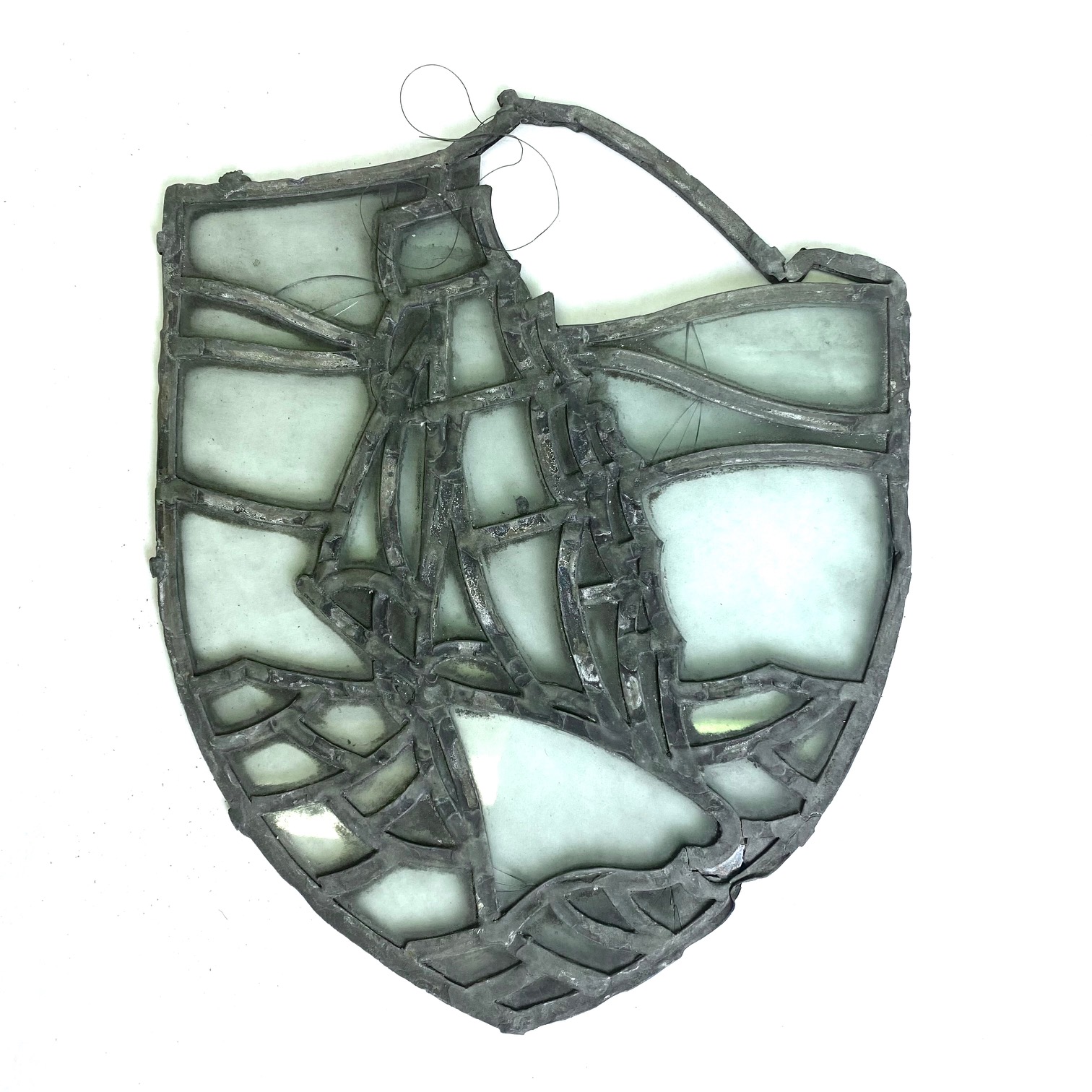 2021/09/10 image taken in collection storage for database and online portal