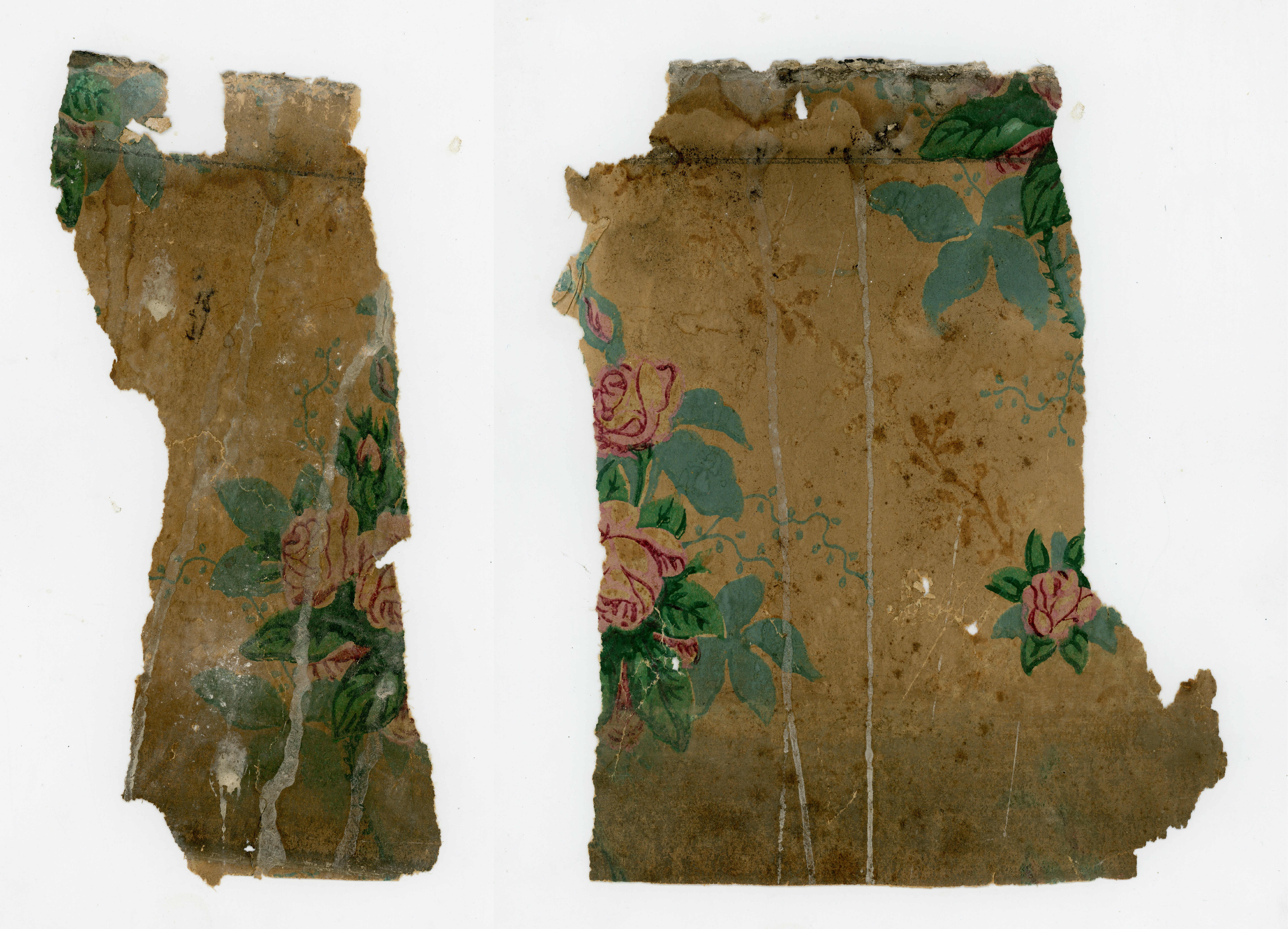 2021/09/23 scan in the office for database and online use