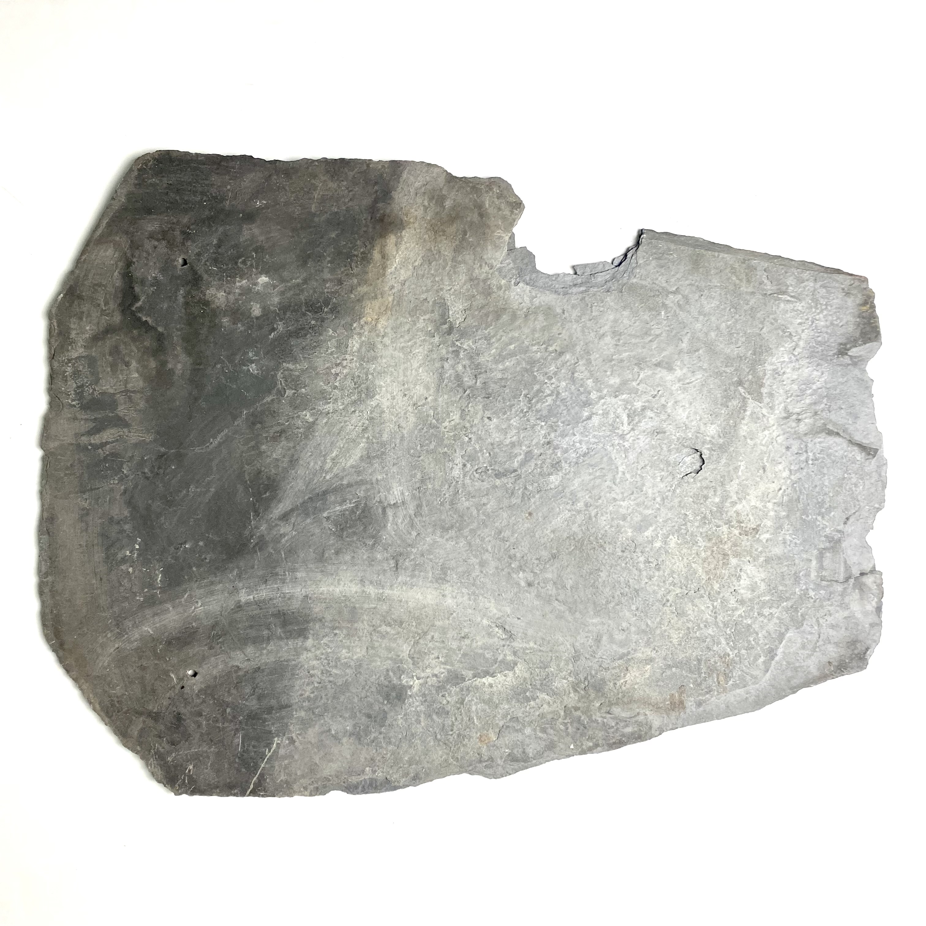 2021/09/23 image taken in Gallery 9 for database and online use