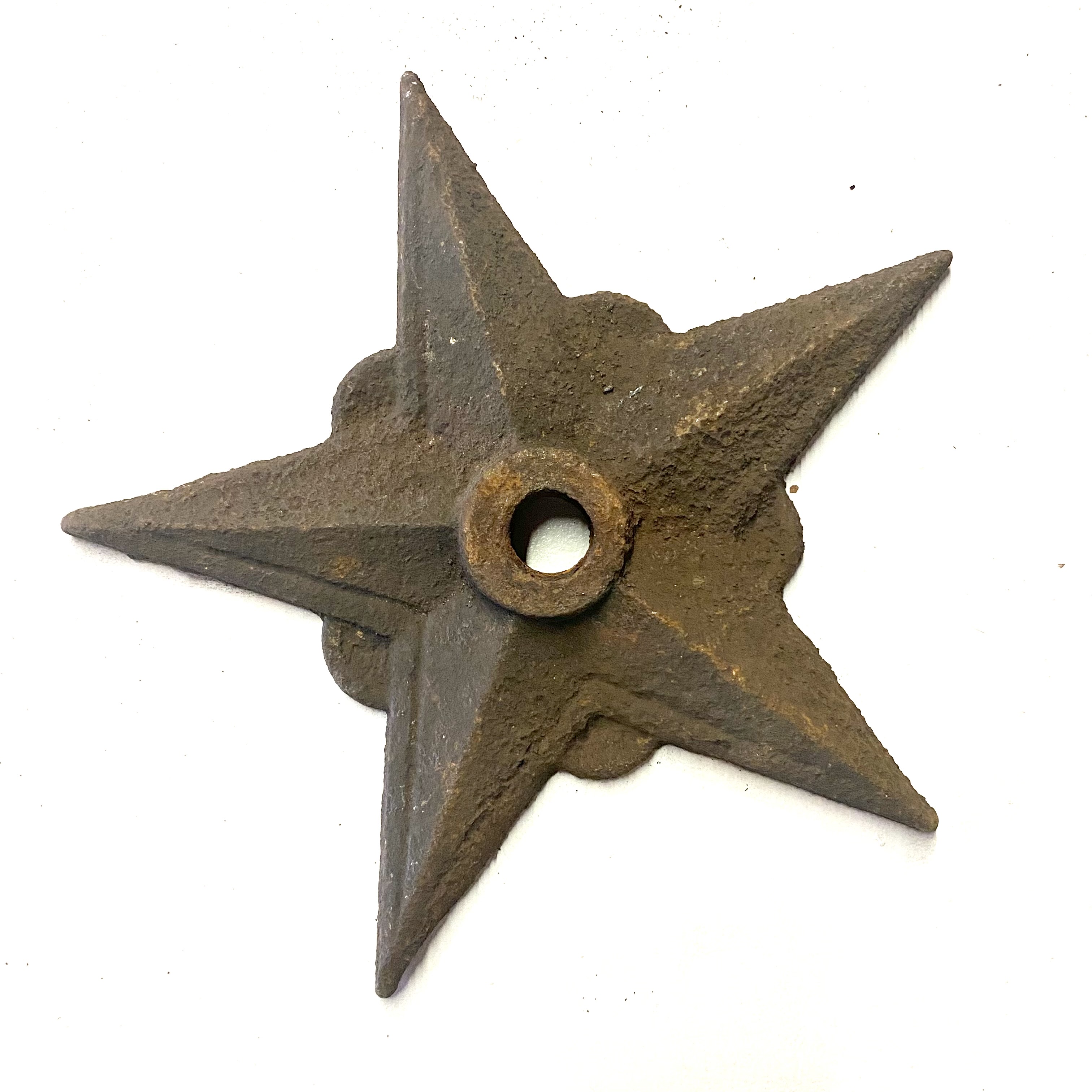 2021/09/23 image taken in Gallery 9 for database and online use