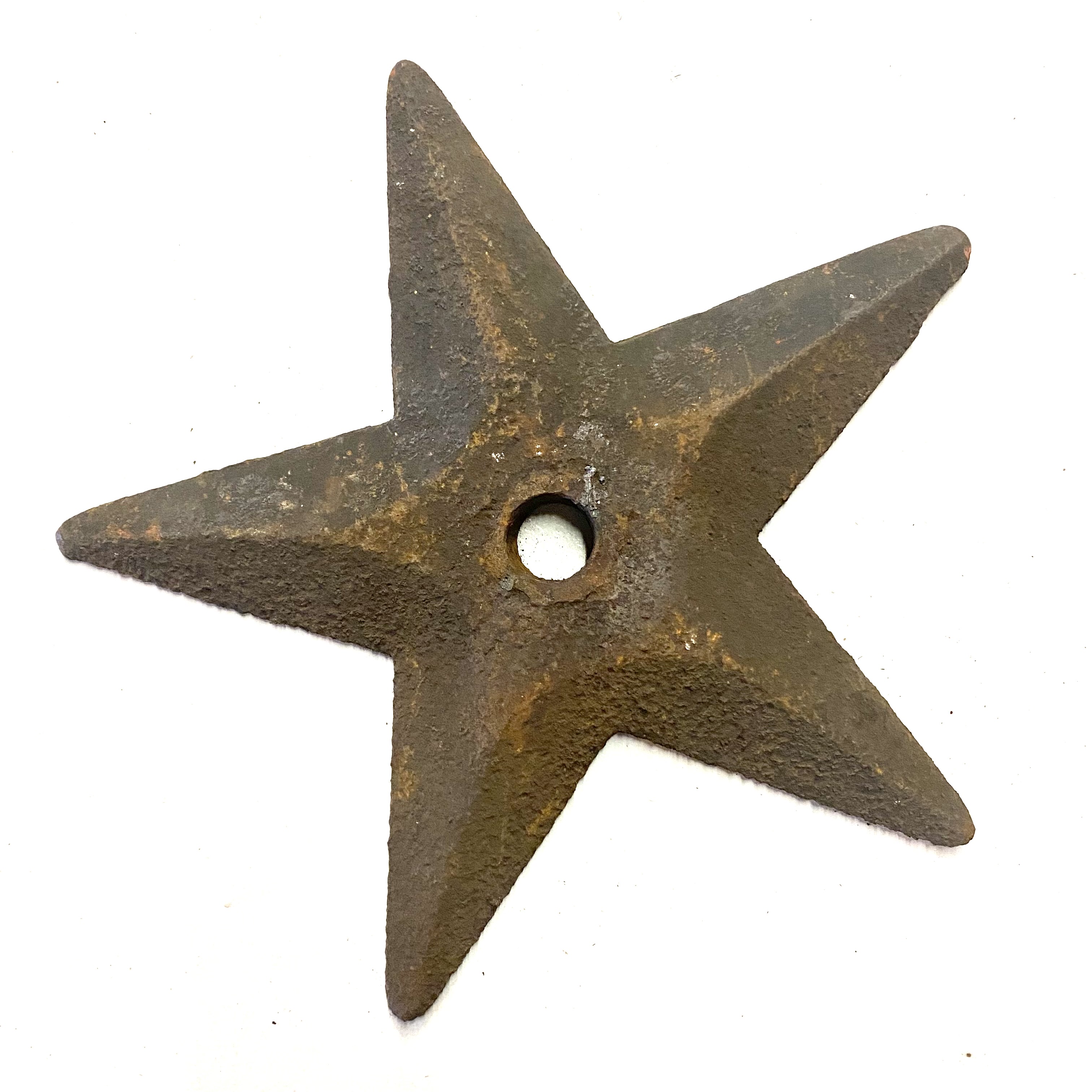 2021/09/23 image taken in Gallery 9 for database and online use