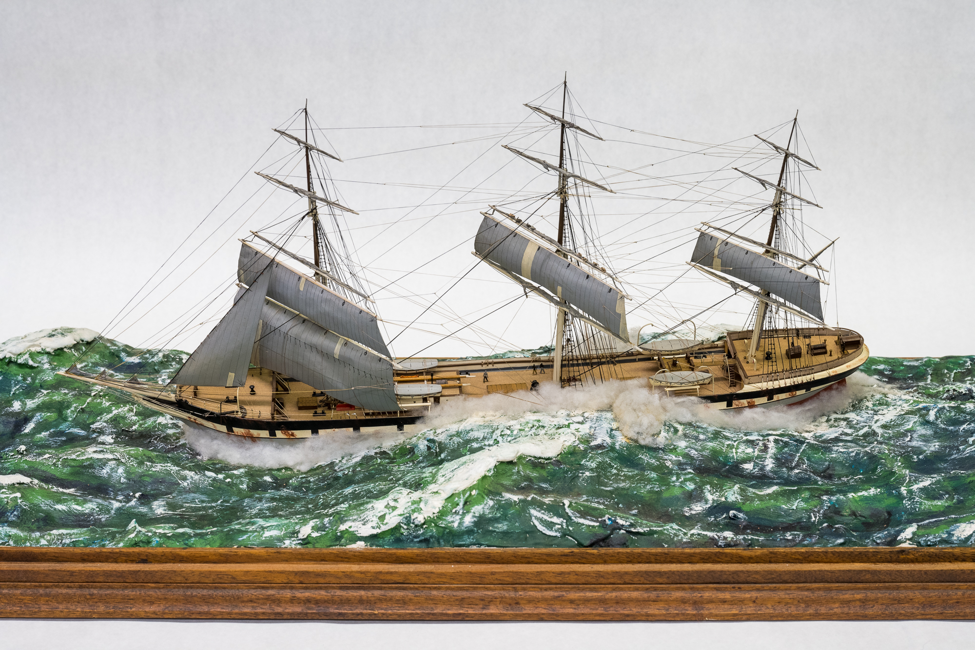 2011/11/22 image taken in collection storage for database and online use