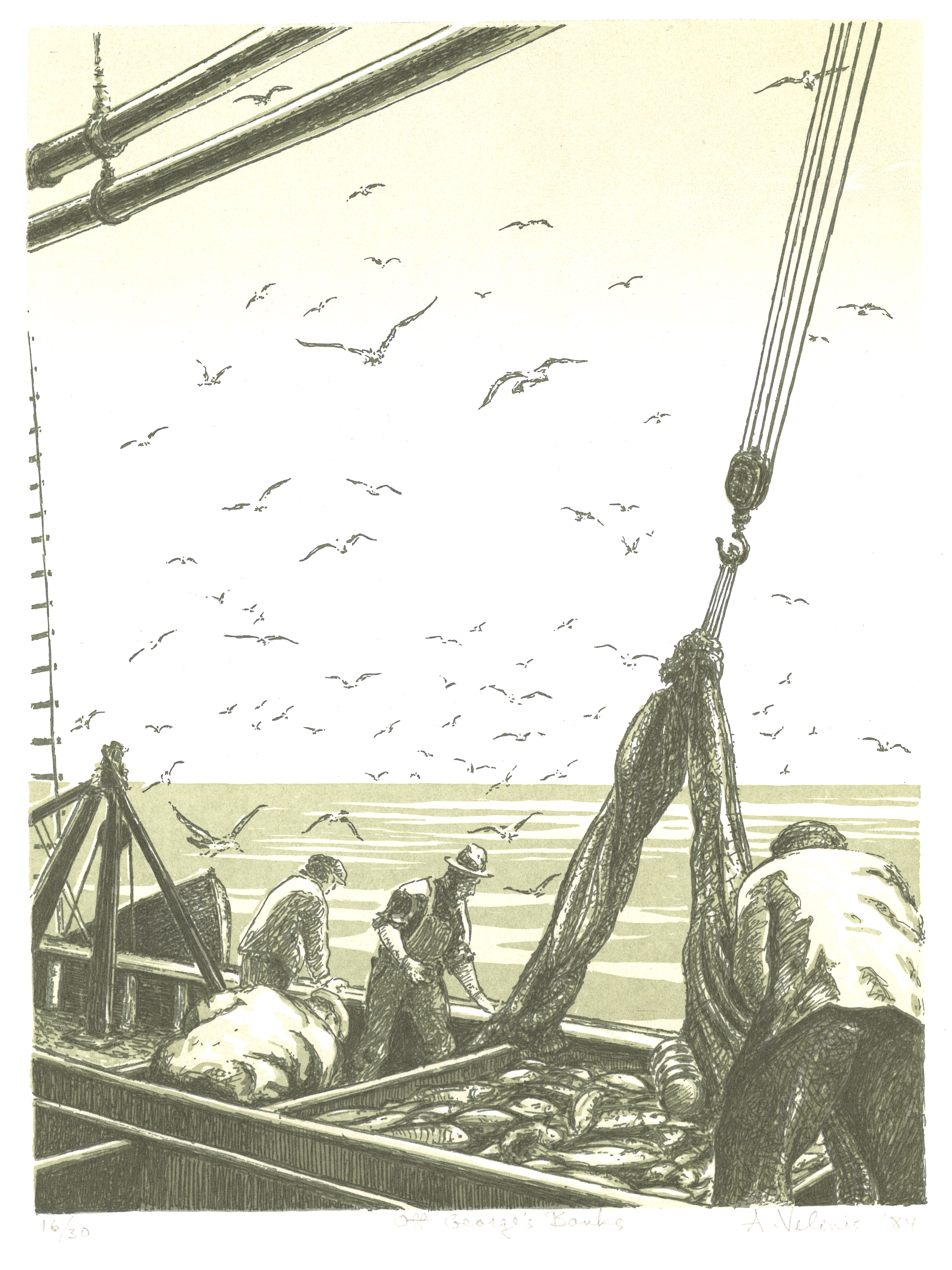 2022/01/13 scanned in office for database, cropped