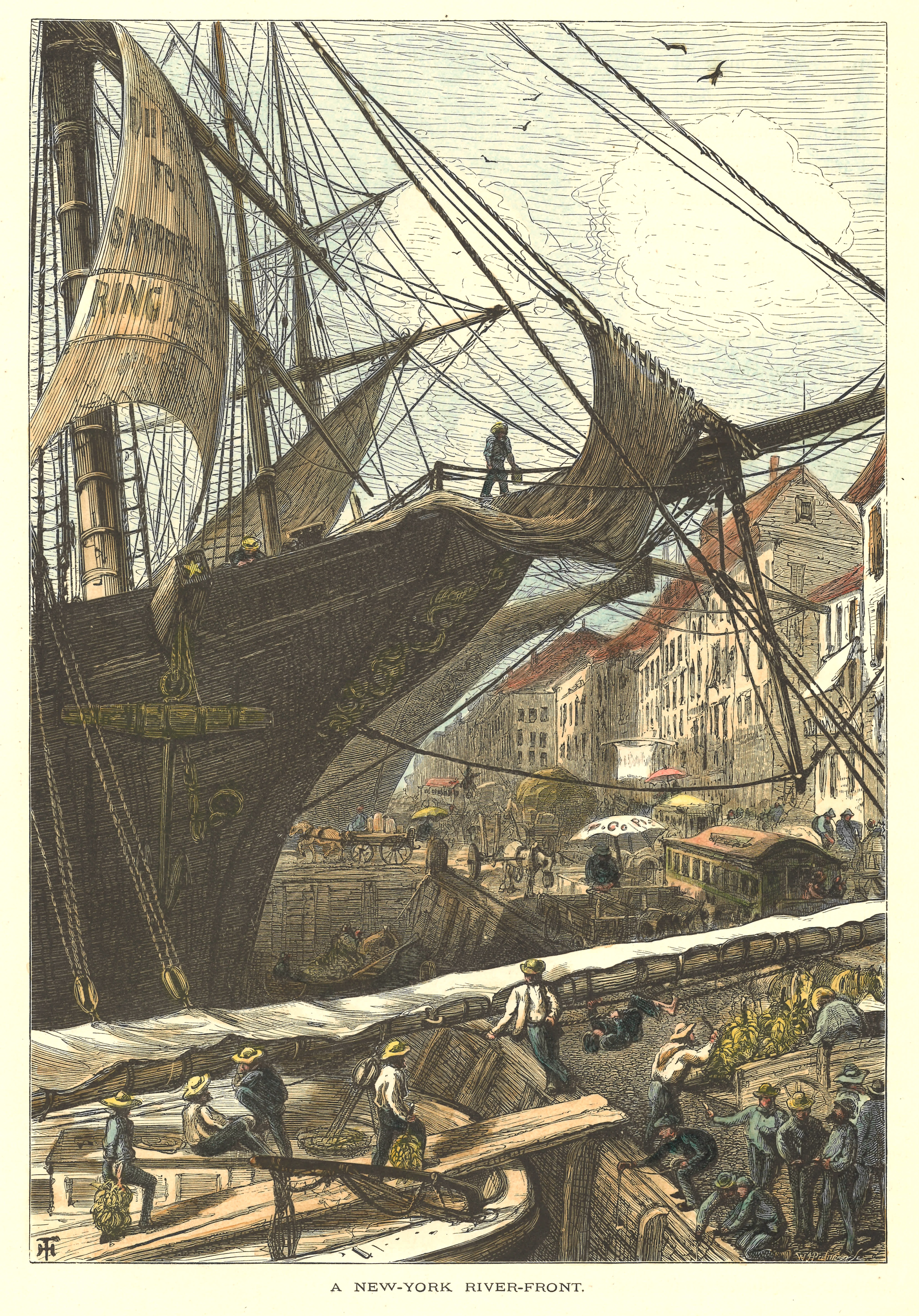 2022/02/01 scanned in office for database, recto, image crop