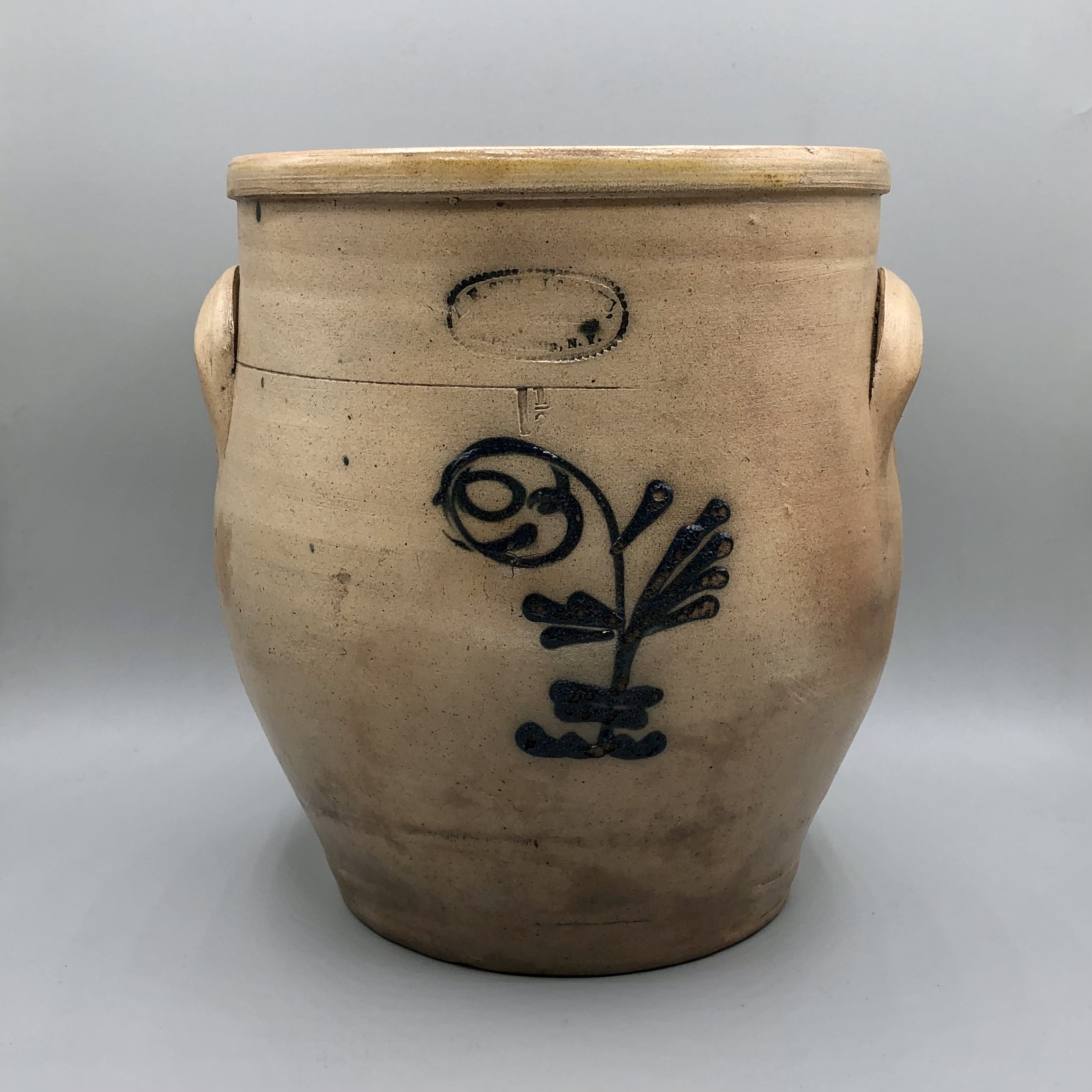 2022/02/02, photographed in Collection Storage for database