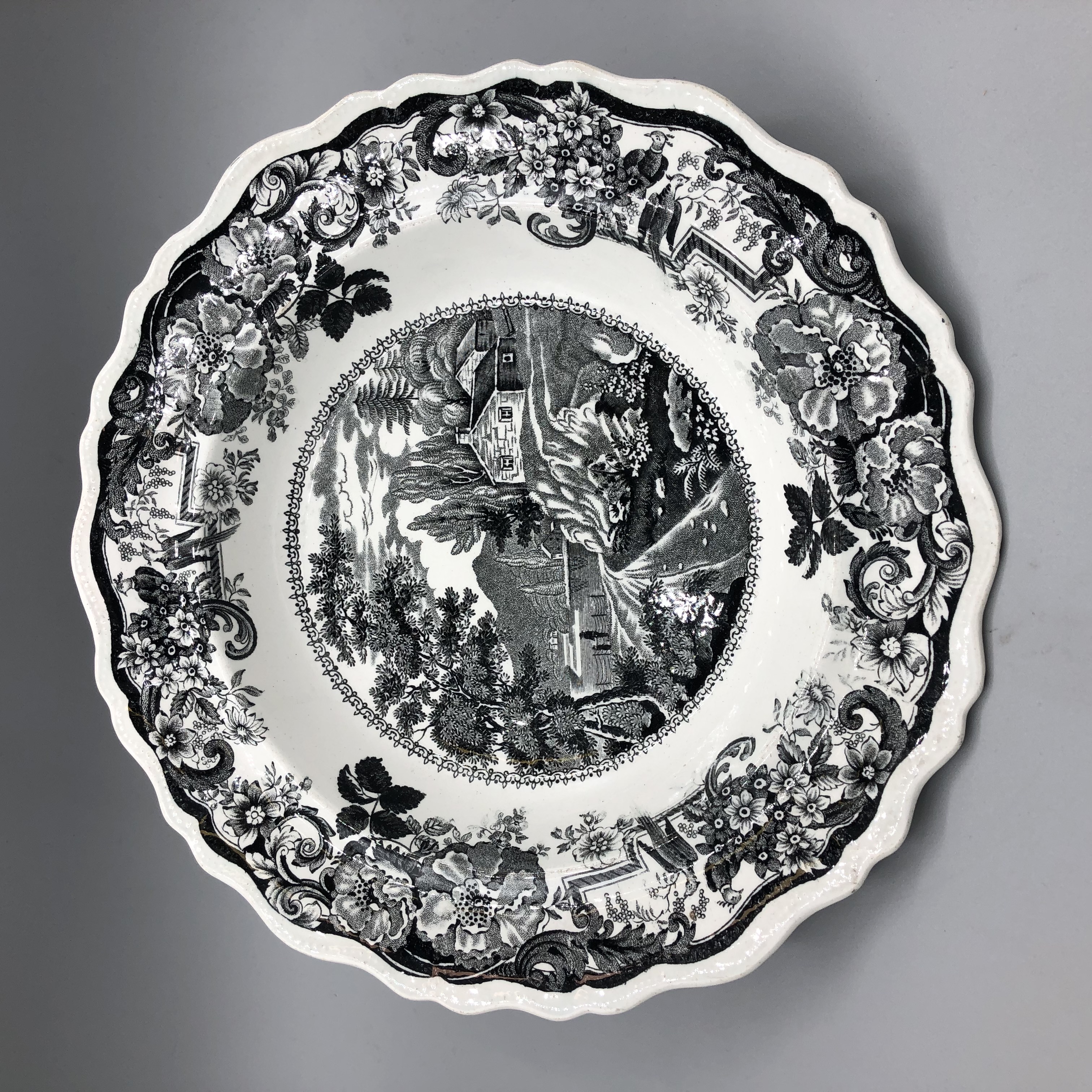 2022/02/08, photographed in Collection Storage for database