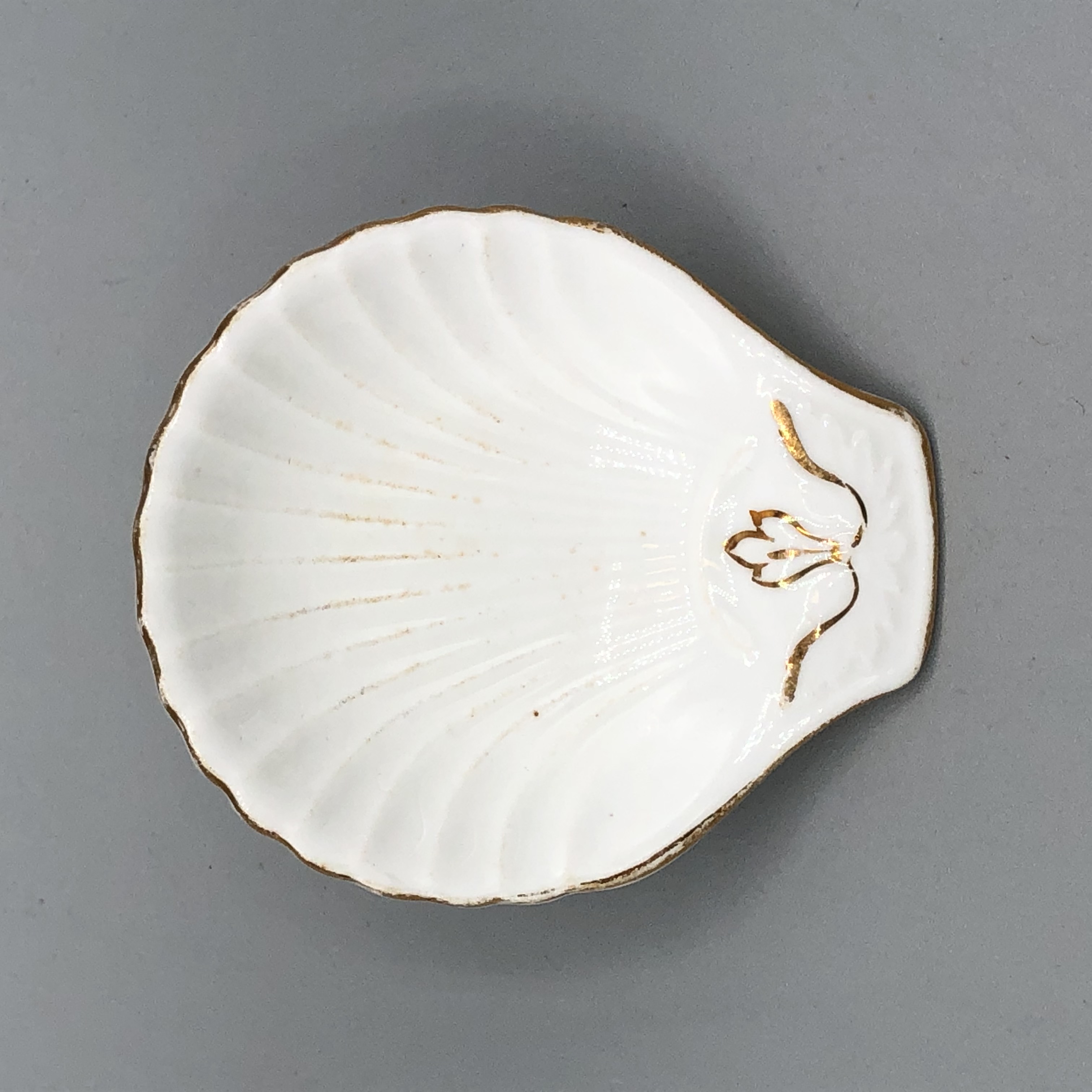 2022/02/09, photographed in Collection Storage for database