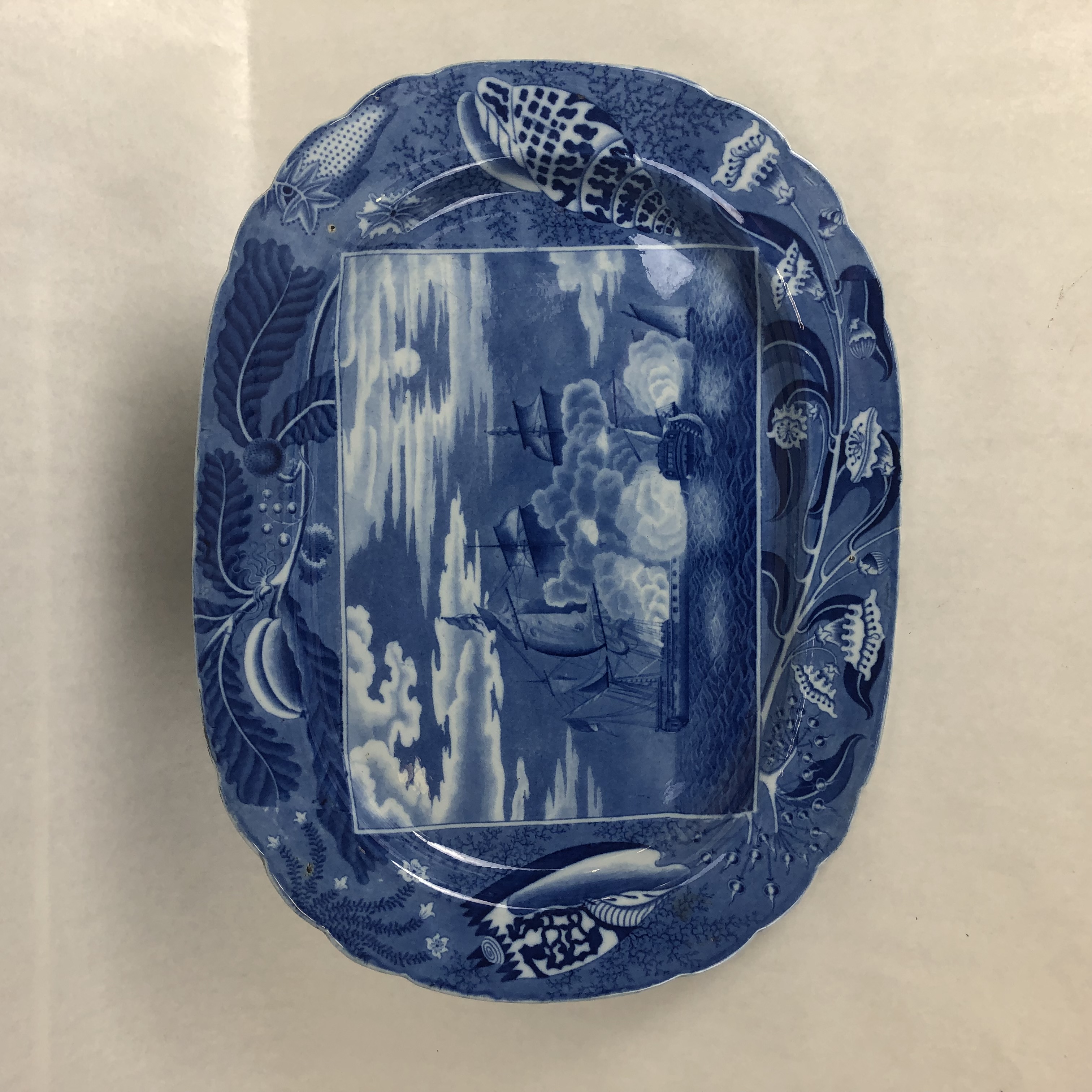 2022/02/15, photographed in Collection Storage for database