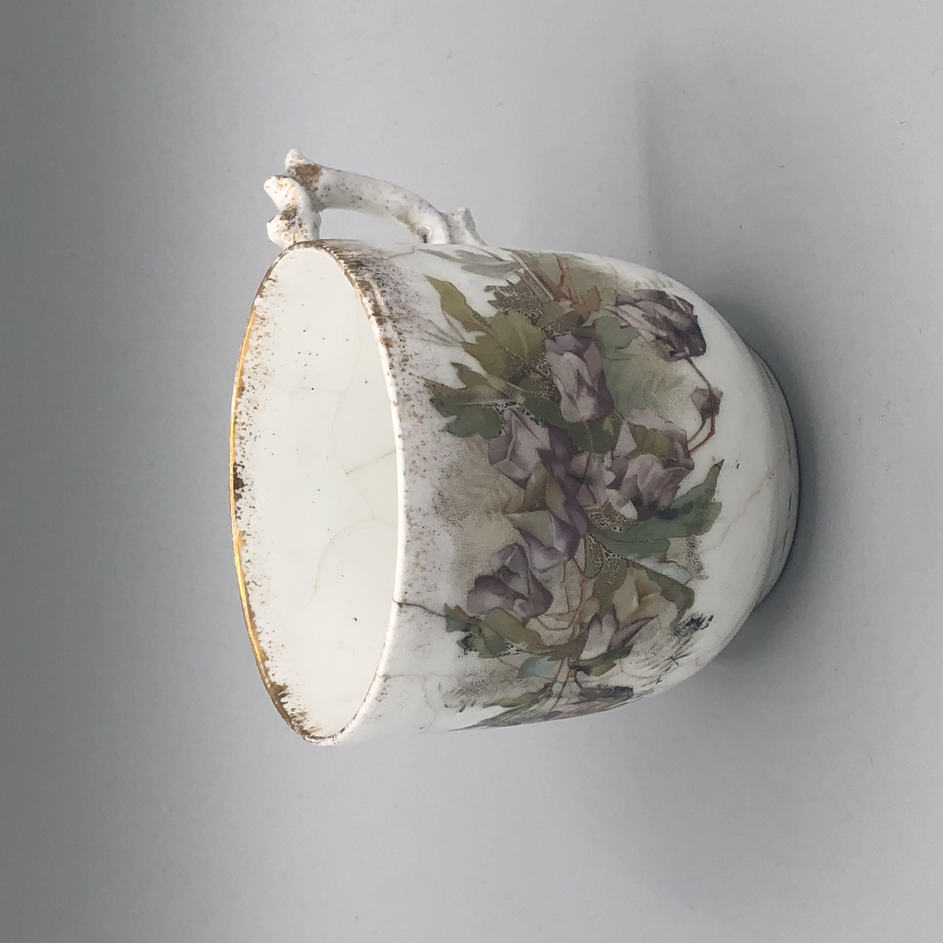2022/02/16, photographed in Collection Storage for database