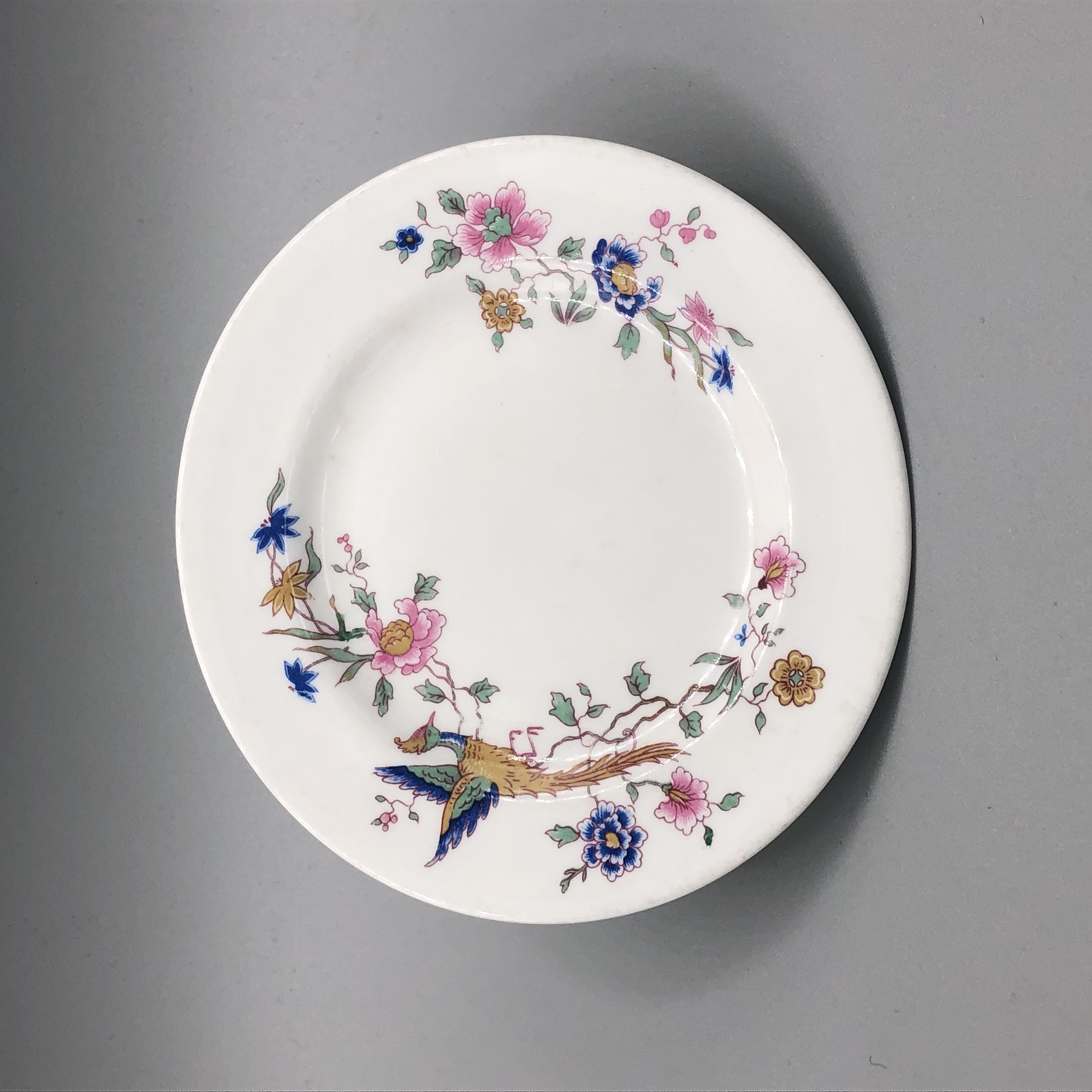 2022/02/16, photographed in Collection Storage for database