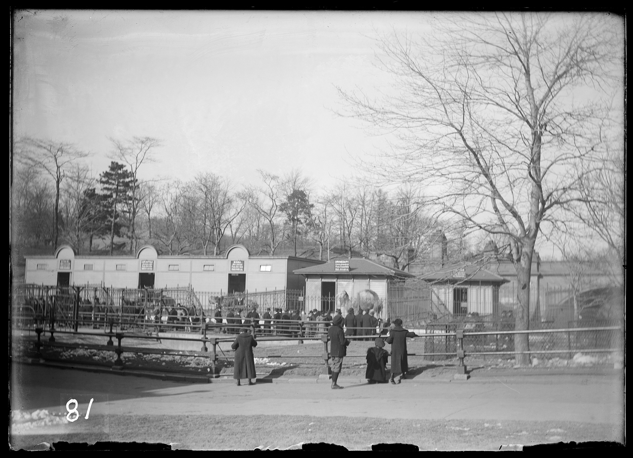 2021/09 access JPEG image from digitization at Chicago Albumen Works