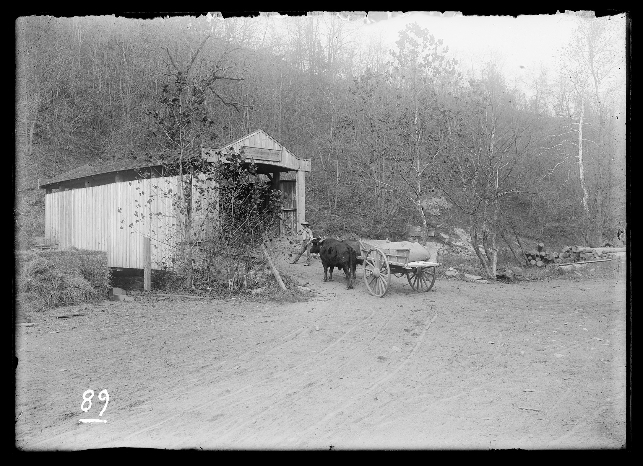 2021/09 access JPEG image from digitization at Chicago Albumen Works