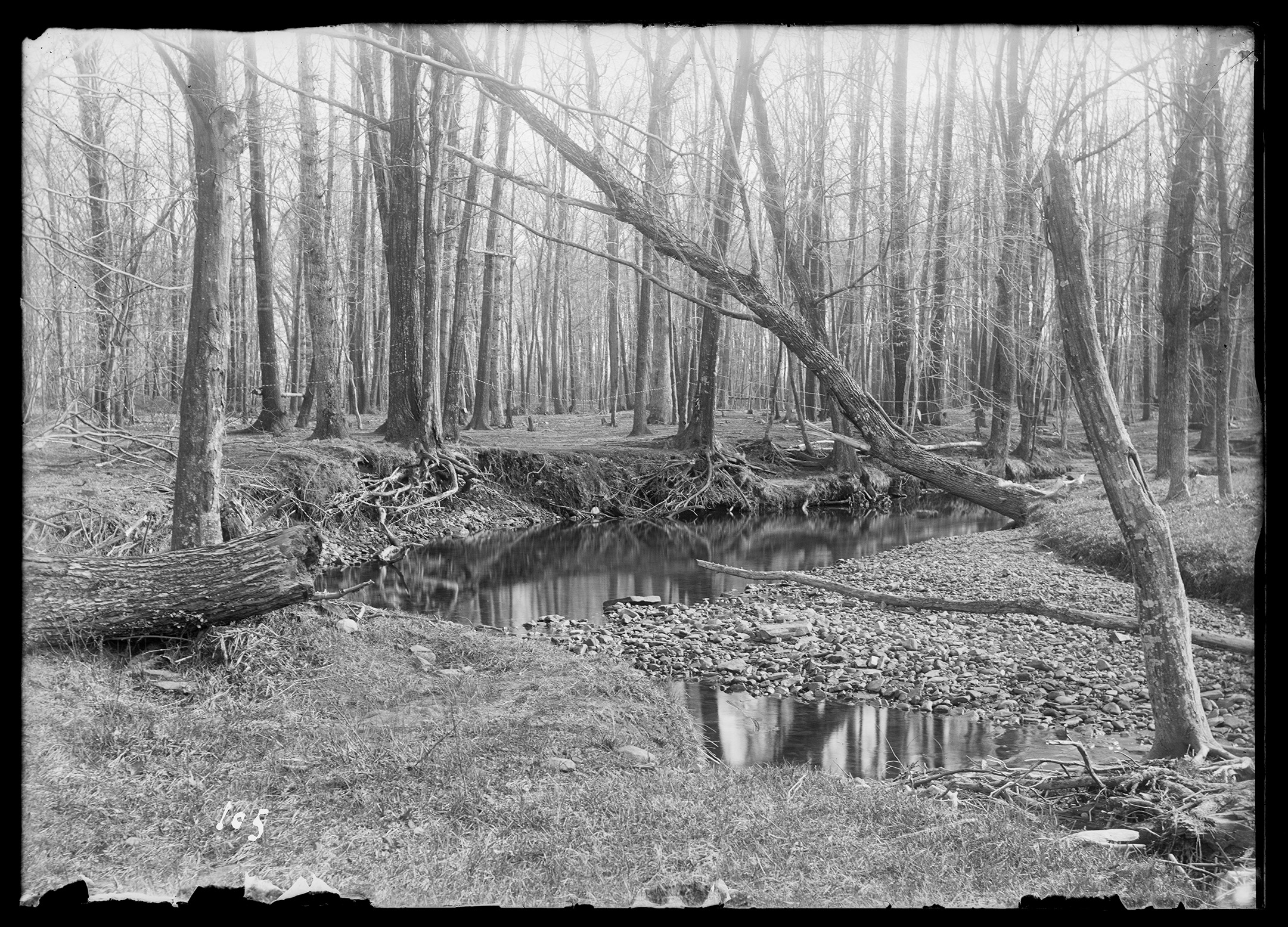 2021/09 access JPEG image from digitization at Chicago Albumen Works