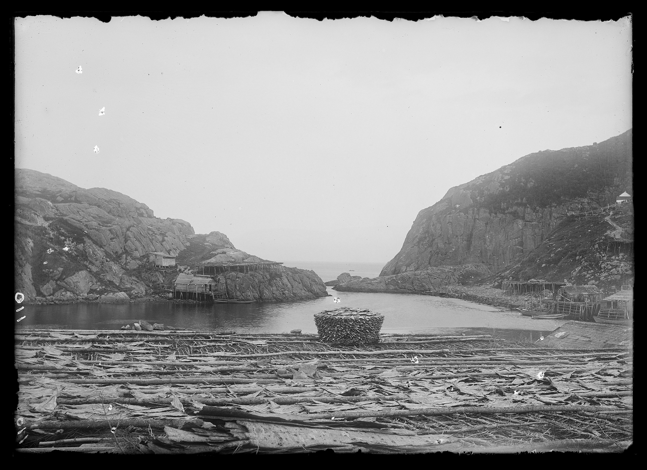 2021/09 access JPEG image from digitization at Chicago Albumen Works