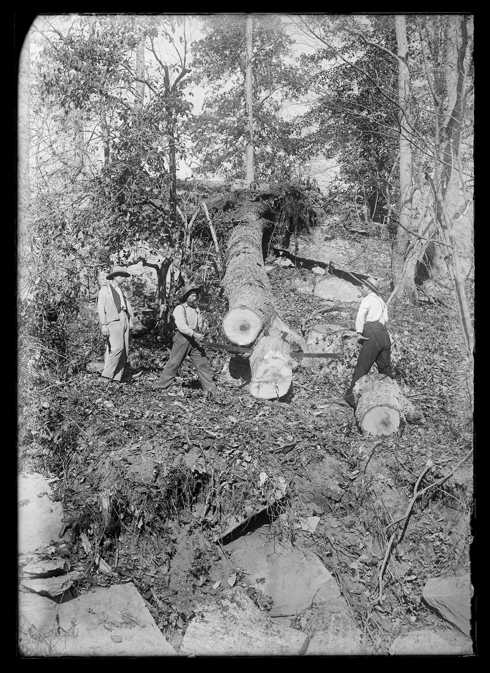 2021/09 access JPEG image from digitization at Chicago Albumen Works