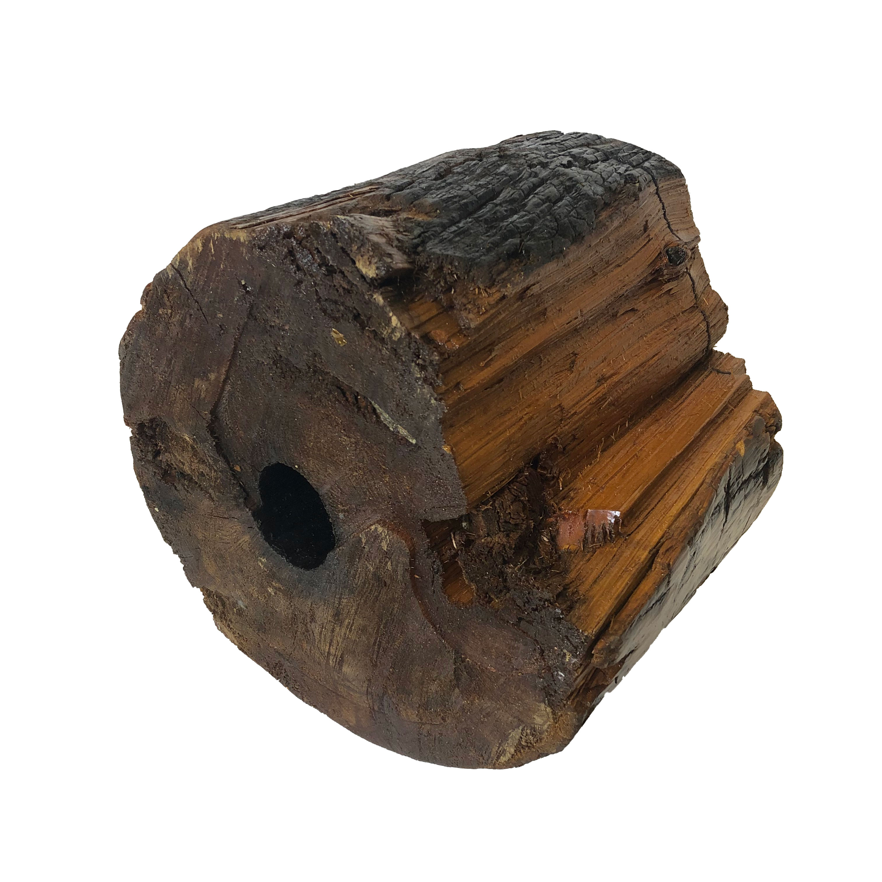 2019/09/26 image edited for database