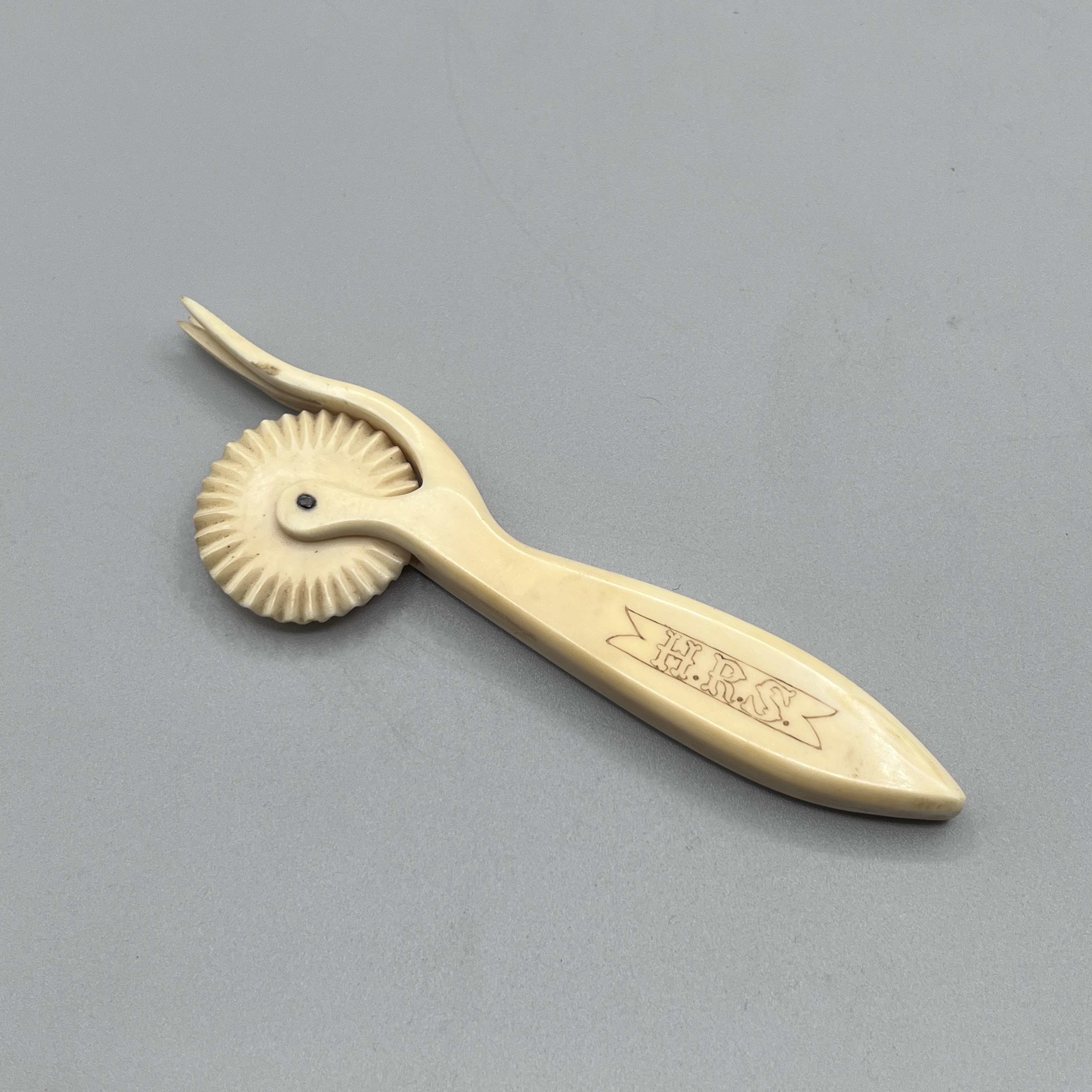 2023/01/06, photographed in Collection Storage for database